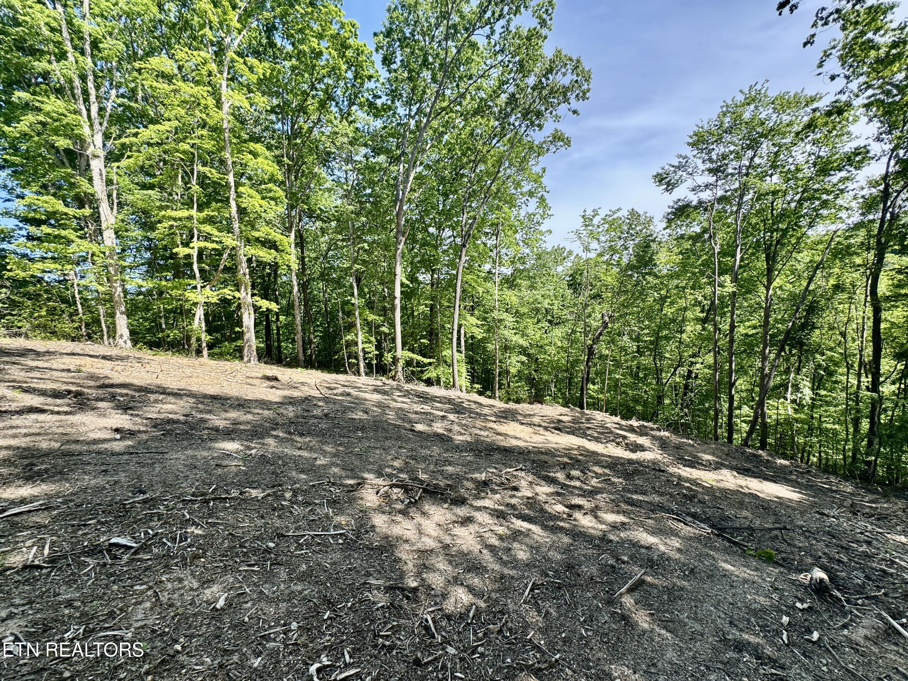 102 Cheri Lane Caryville TN 37714