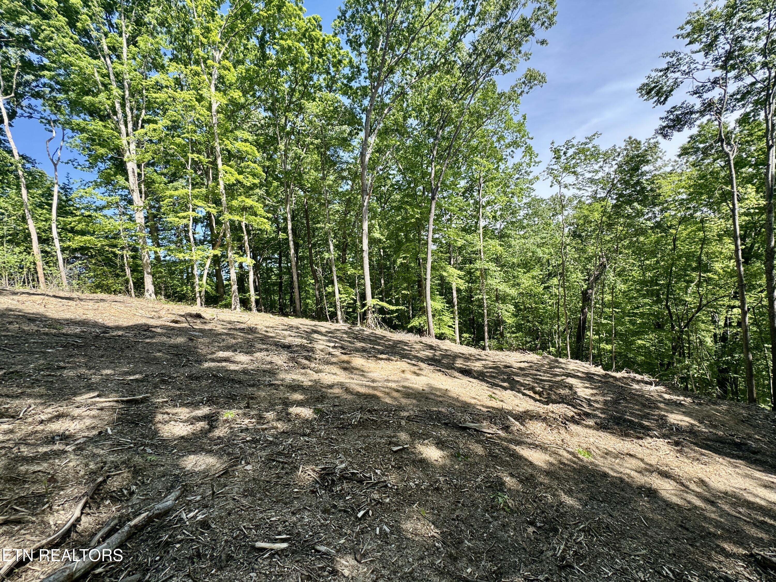 102 Cheri Lane Caryville TN 37714
