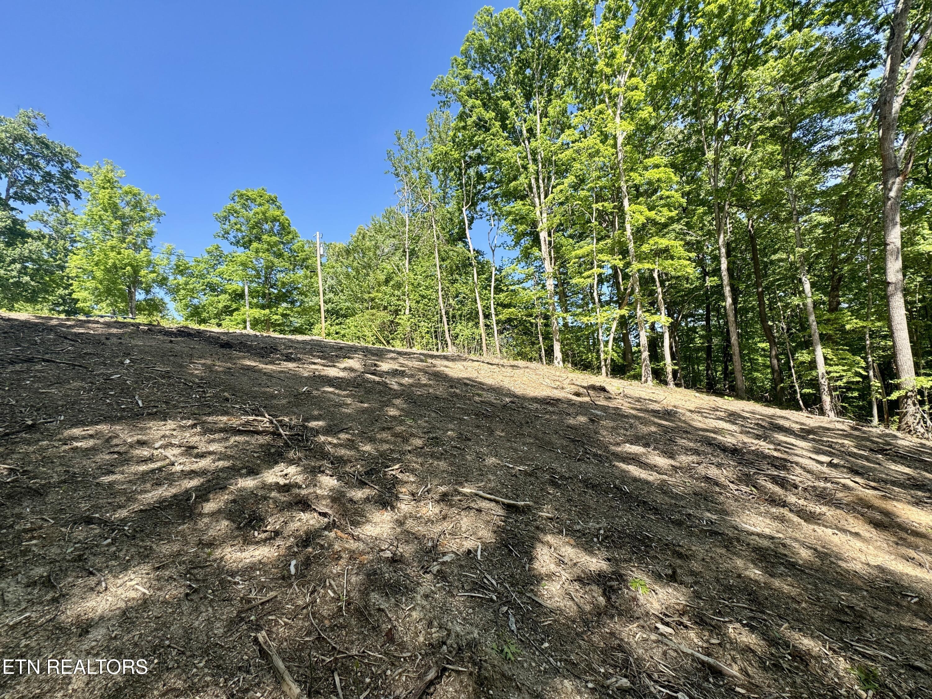 102 Cheri Lane Caryville TN 37714
