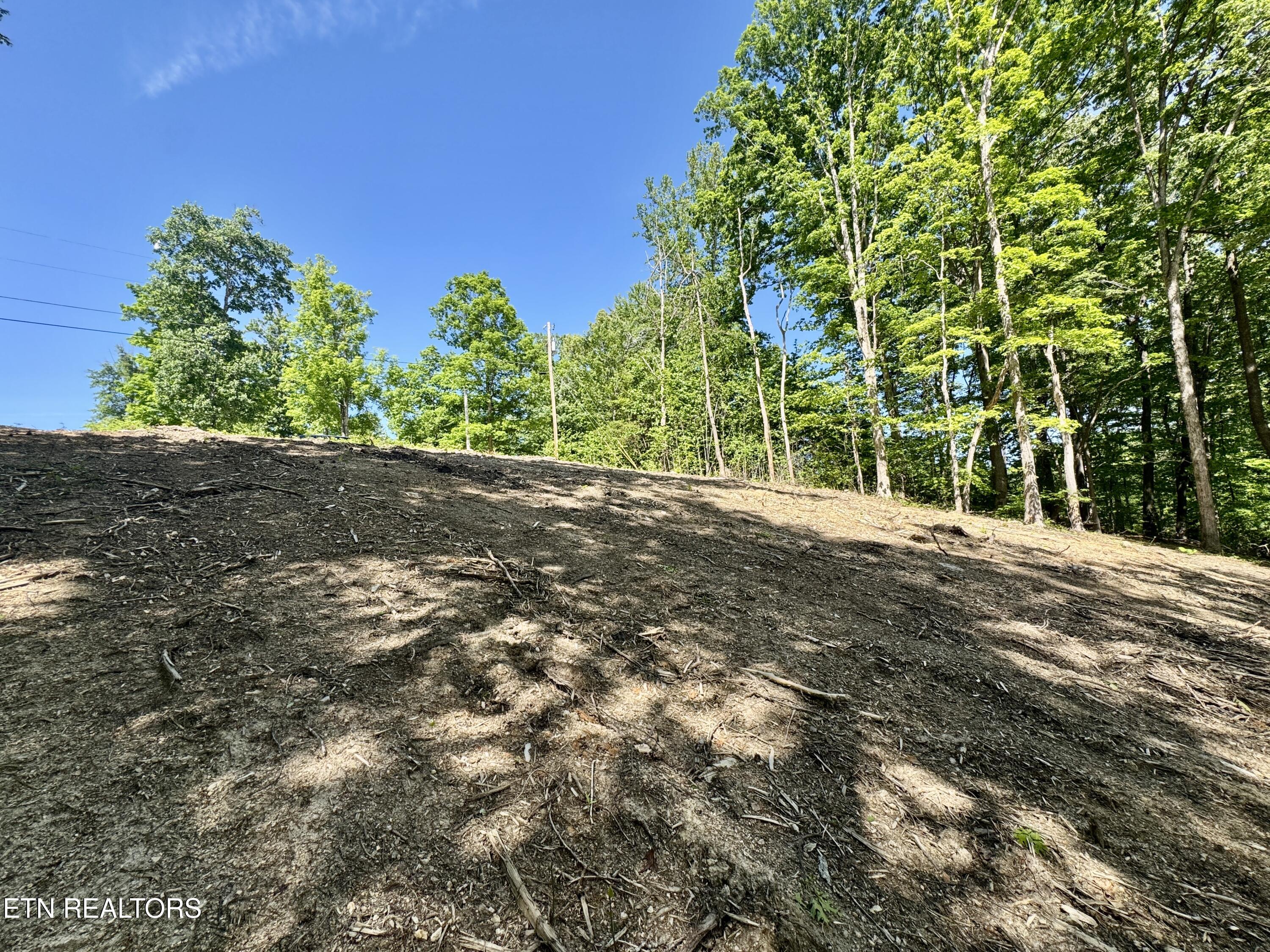 102 Cheri Lane Caryville TN 37714