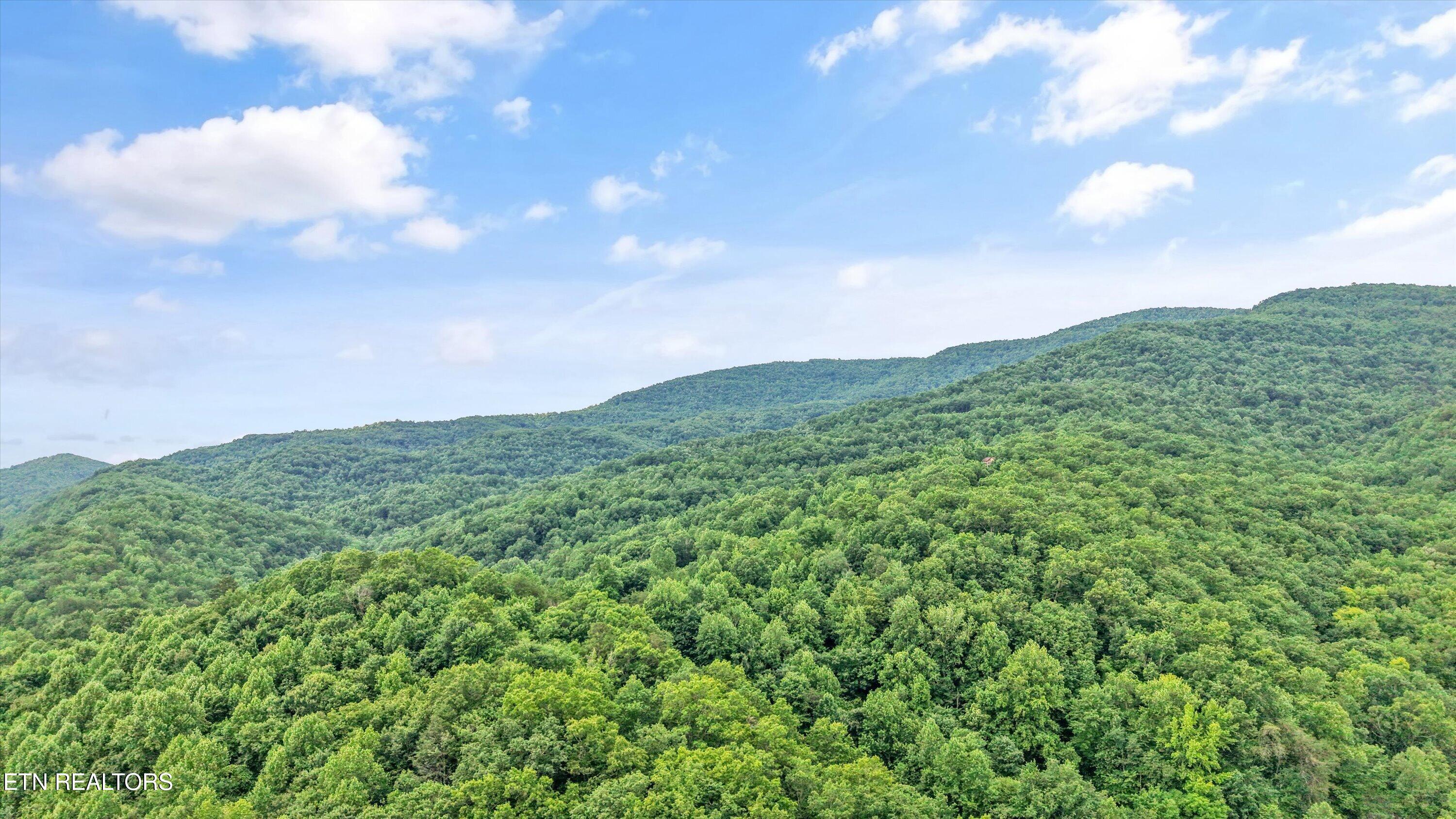 Mountain Road Caryville TN 37714