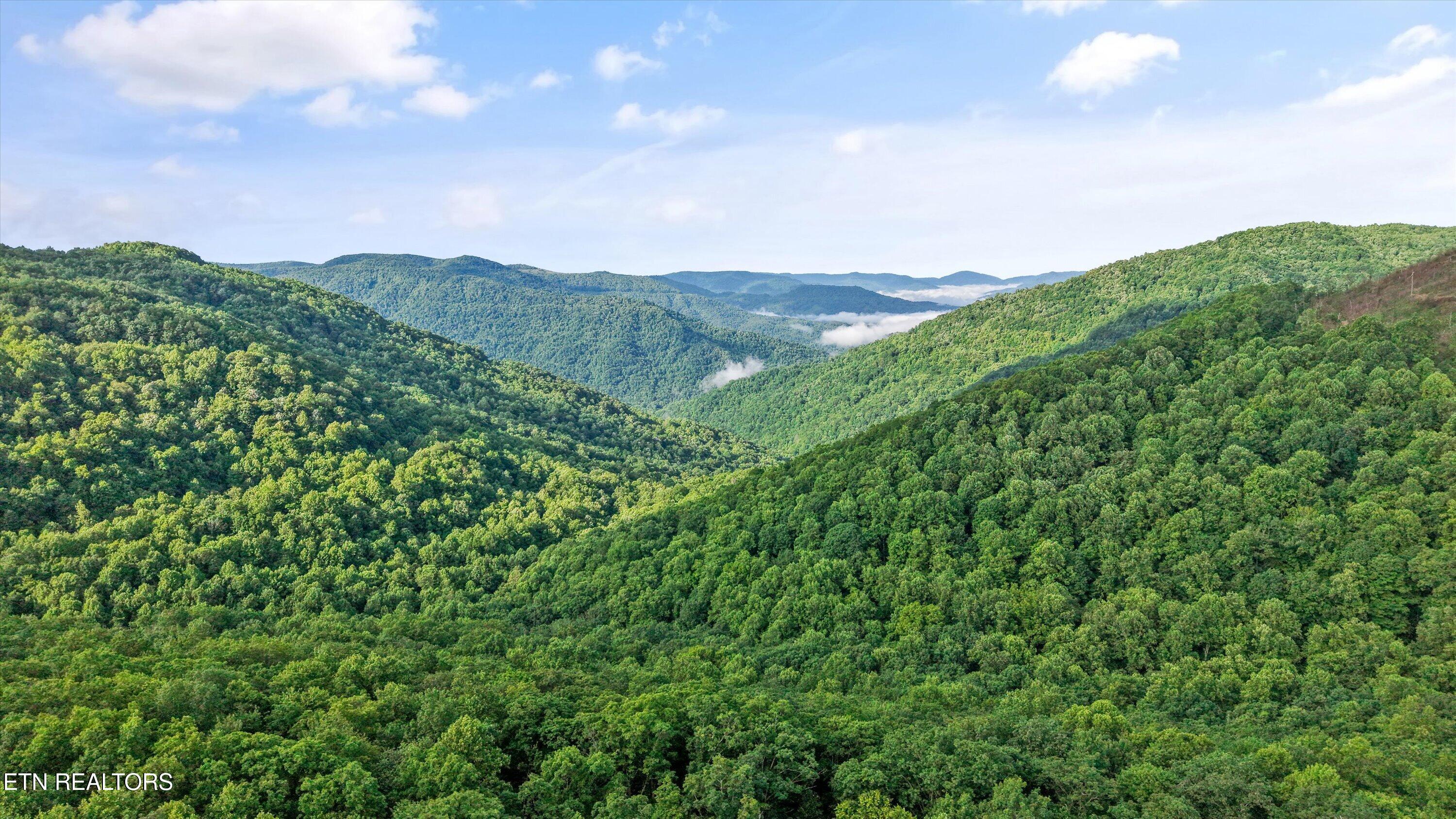 Mountain Road Caryville TN 37714
