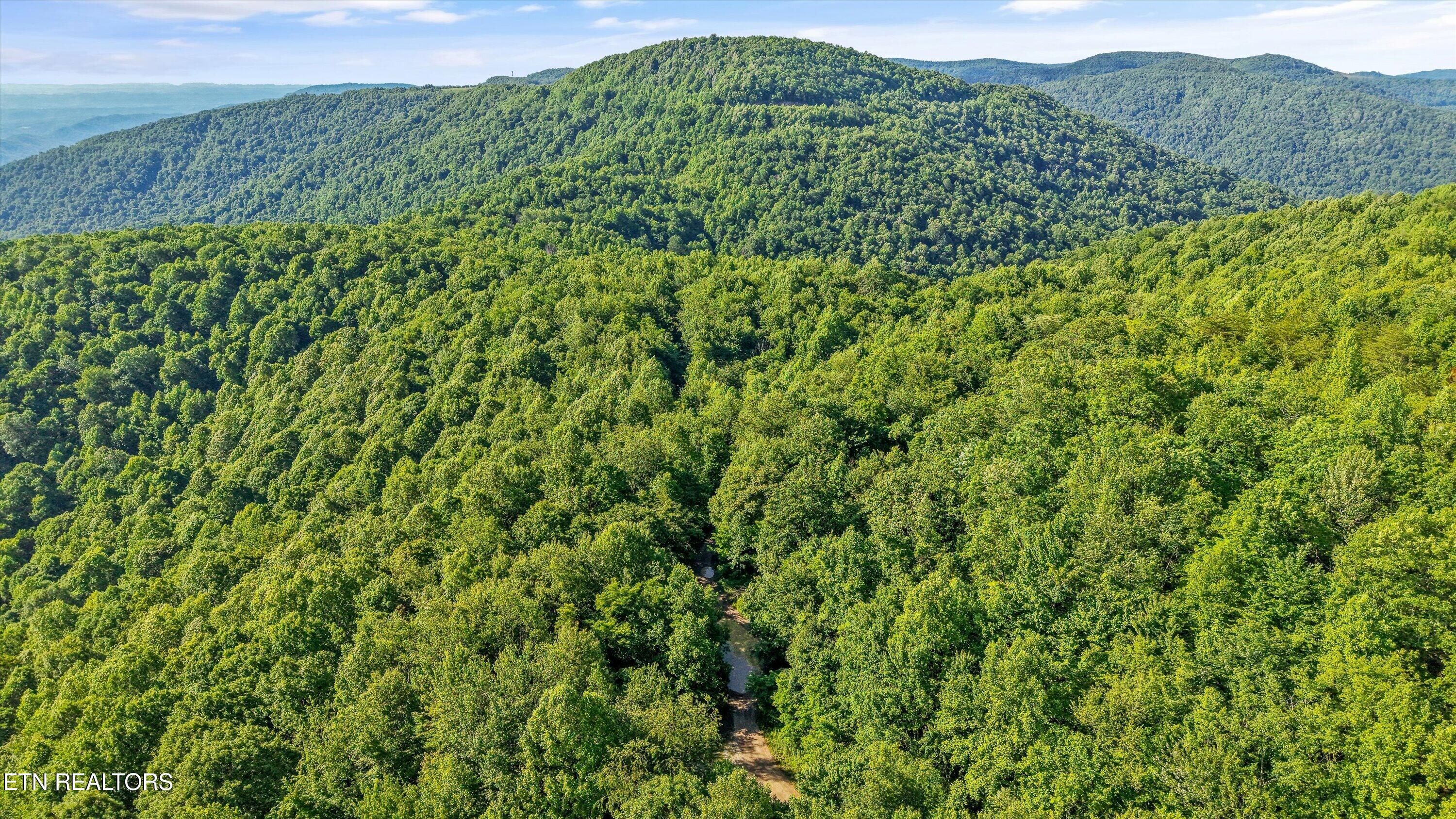Mountain Road Caryville TN 37714