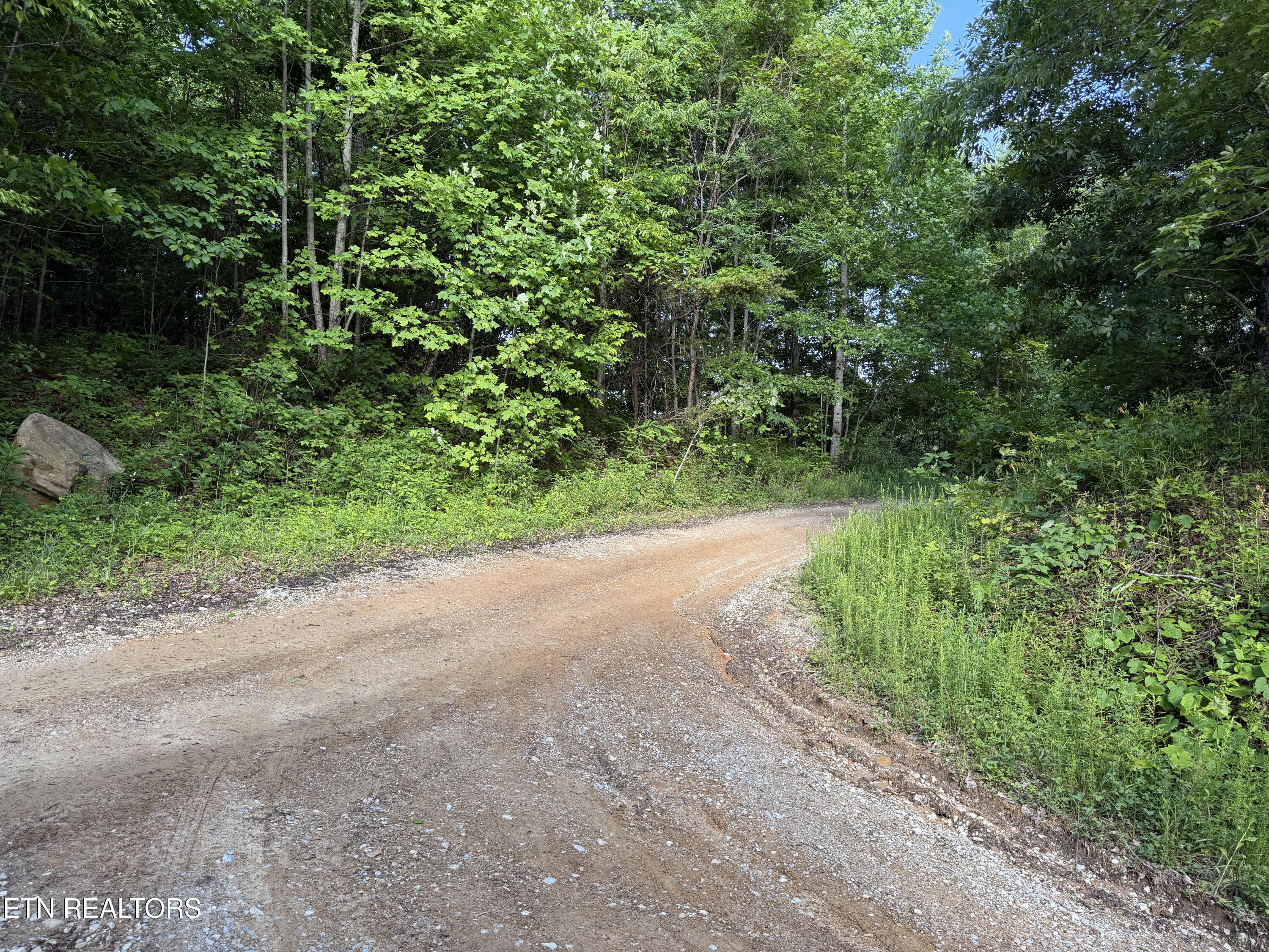 Mountain Road Caryville TN 37714