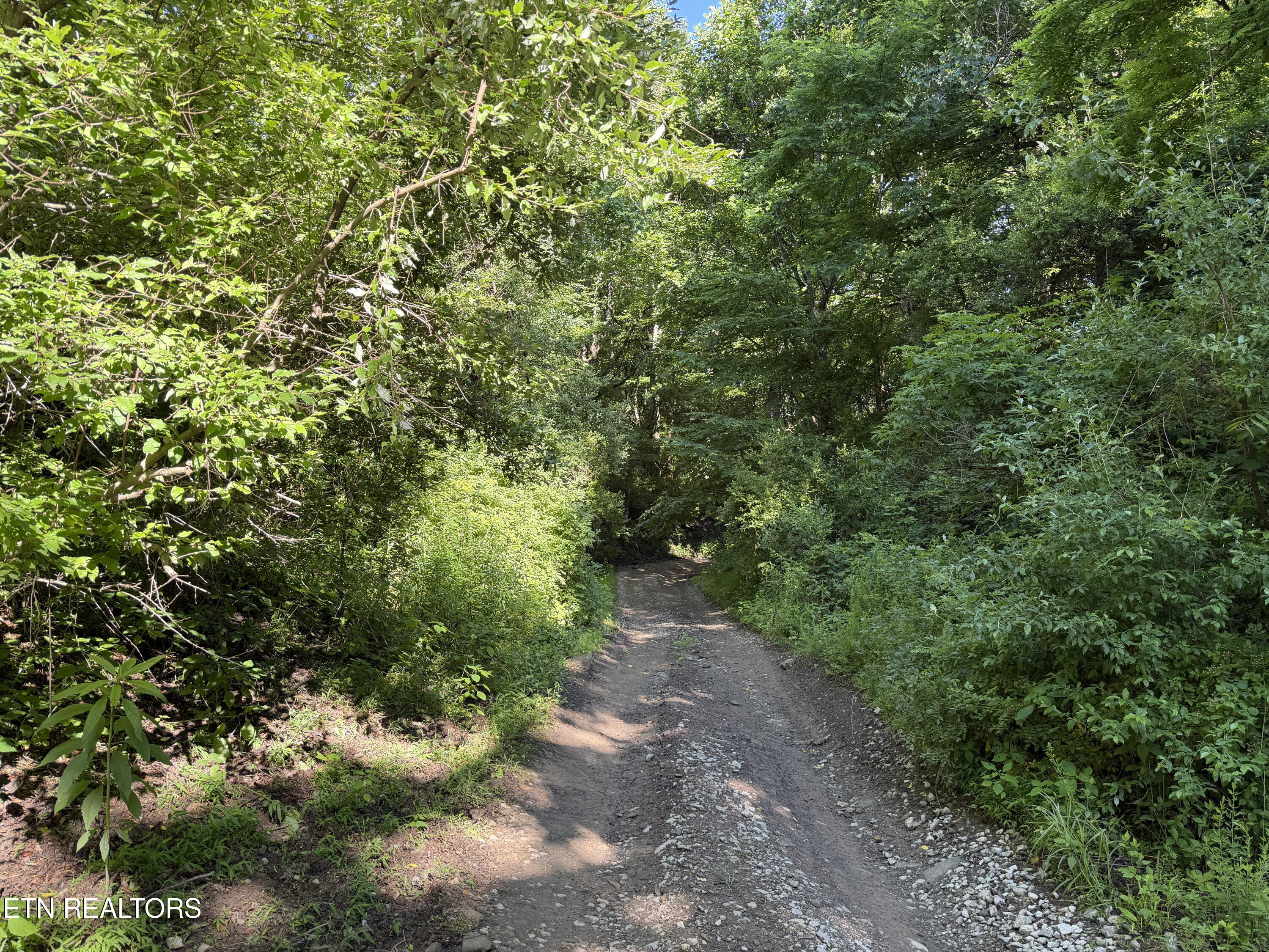 Mountain Road Caryville TN 37714