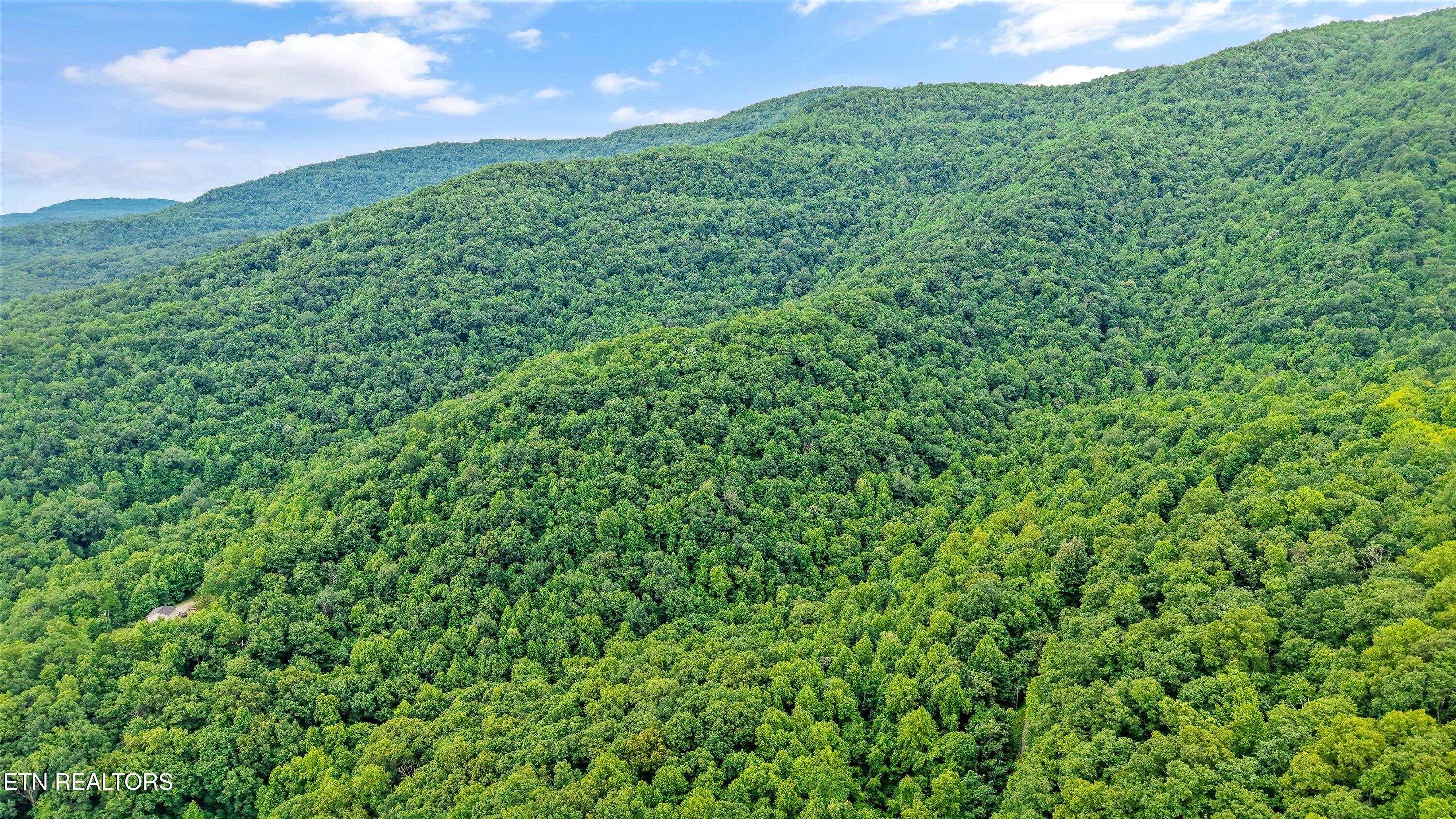 Mountain Road Caryville TN 37714