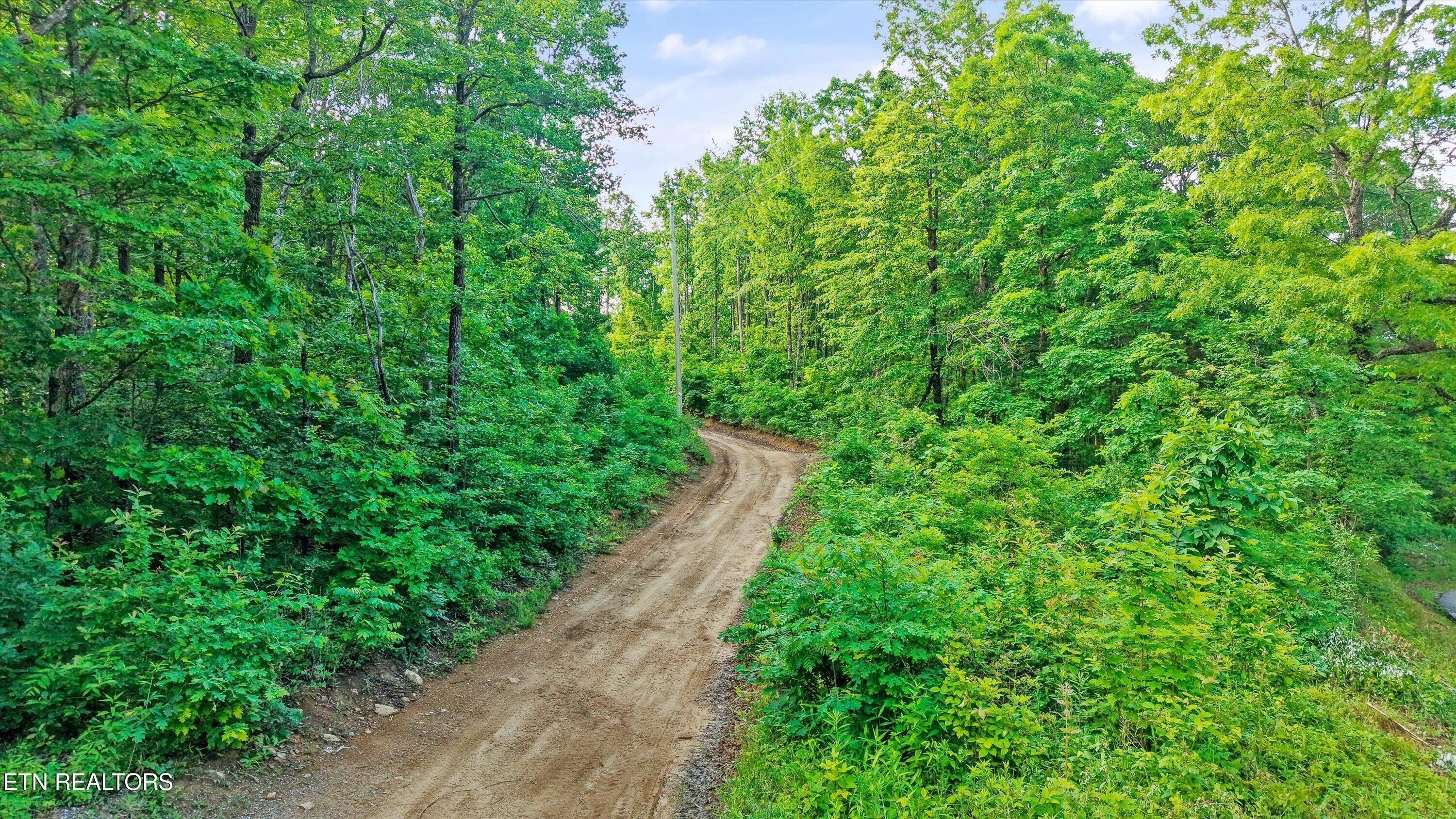 Mountain Road Caryville TN 37714