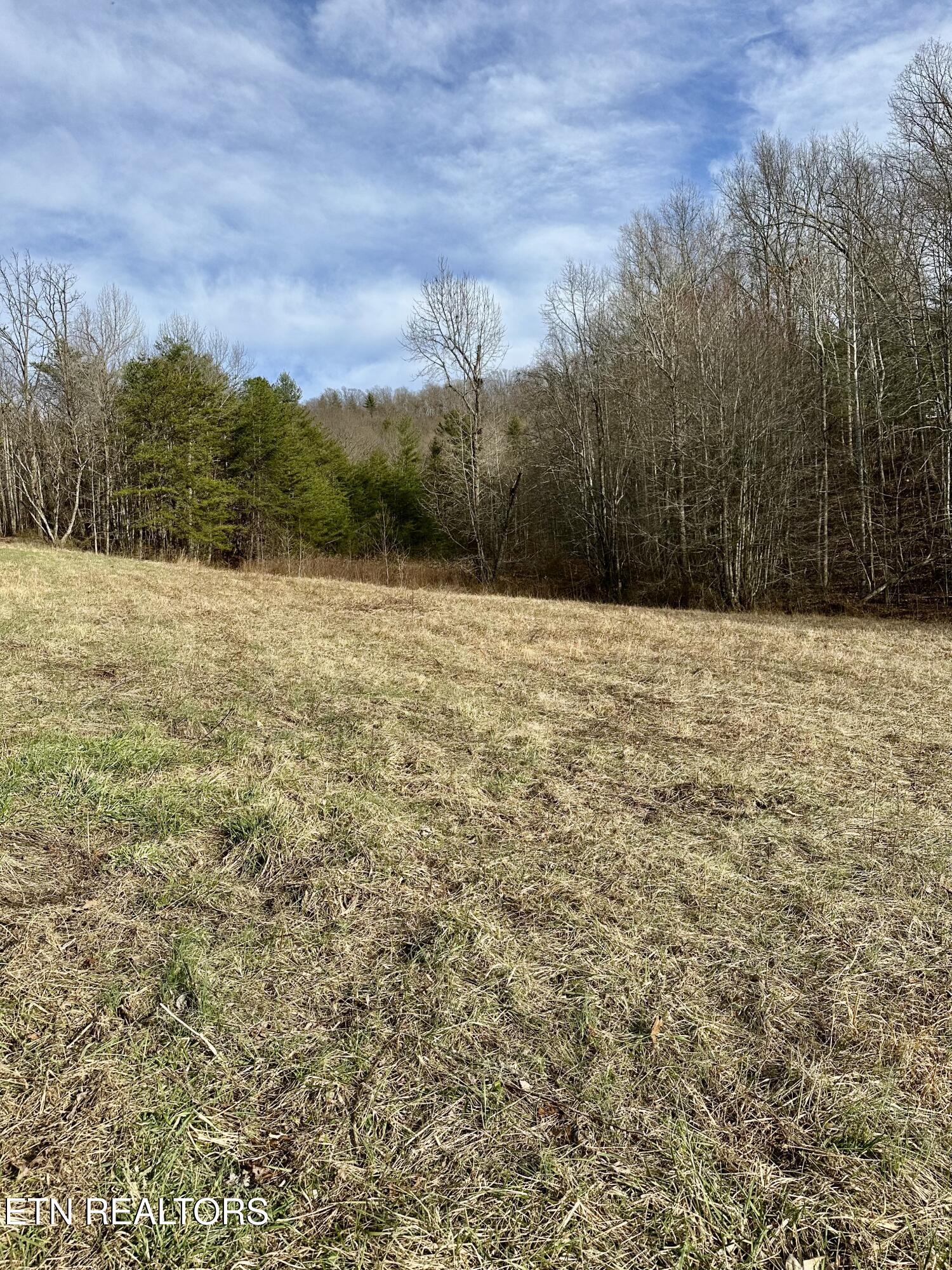Mullins Lane Sunbright TN 37872