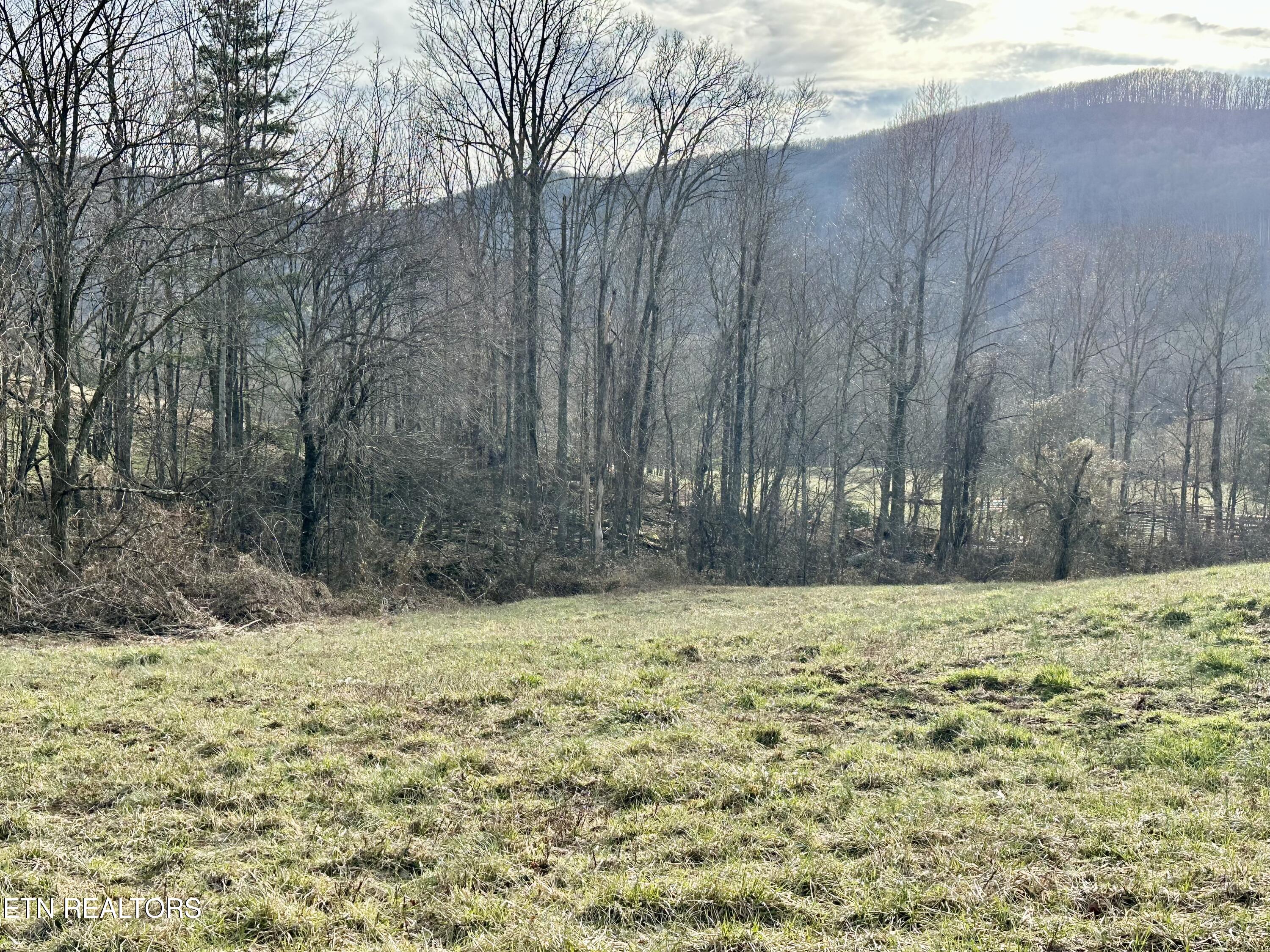 Mullins Lane Sunbright TN 37872