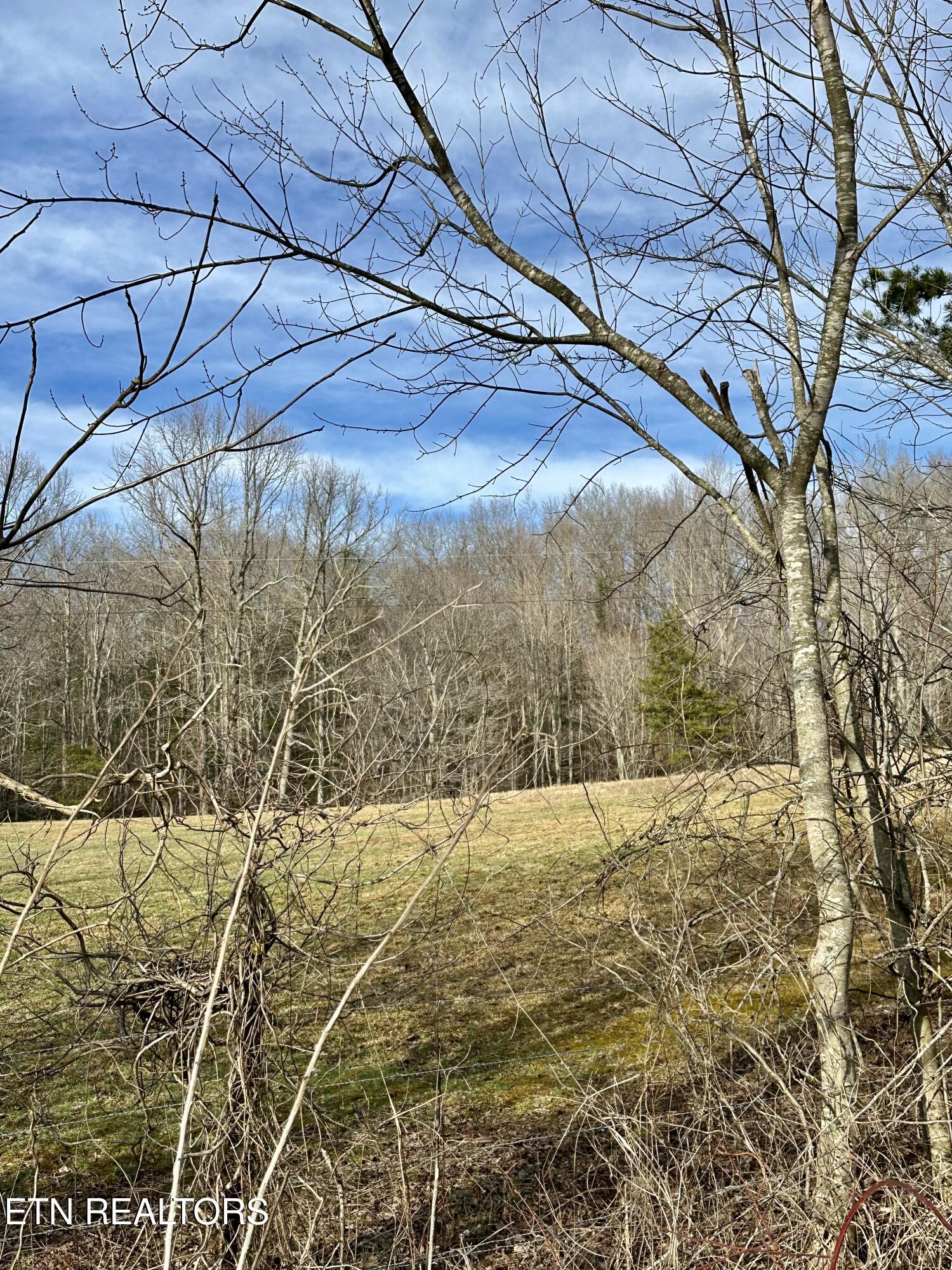 Mullins Lane Sunbright TN 37872