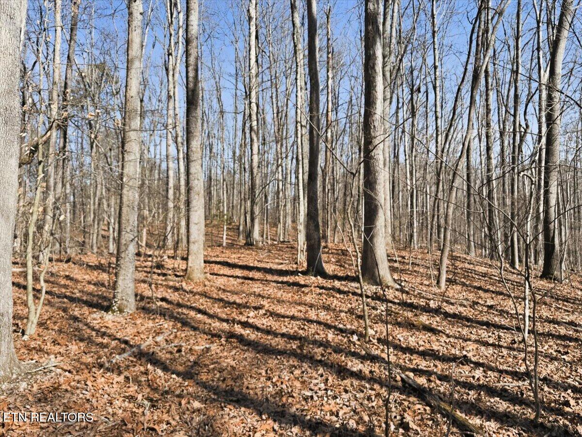 180 Hill Road Knoxville TN 37938