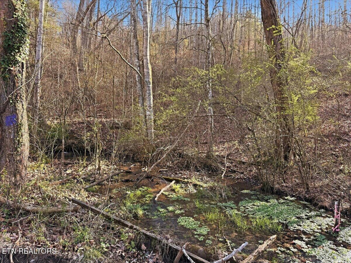 180 Hill Road Knoxville TN 37938
