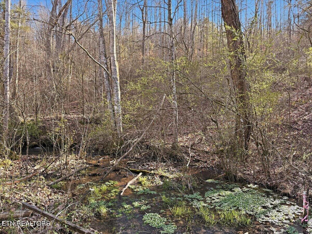 180 Hill Road Knoxville TN 37938