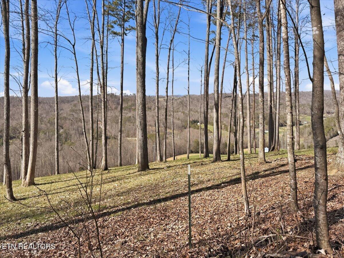180 Hill Road Knoxville TN 37938