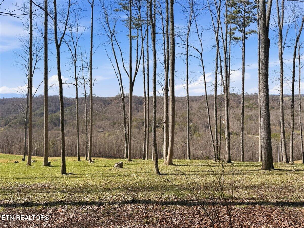 180 Hill Road Knoxville TN 37938