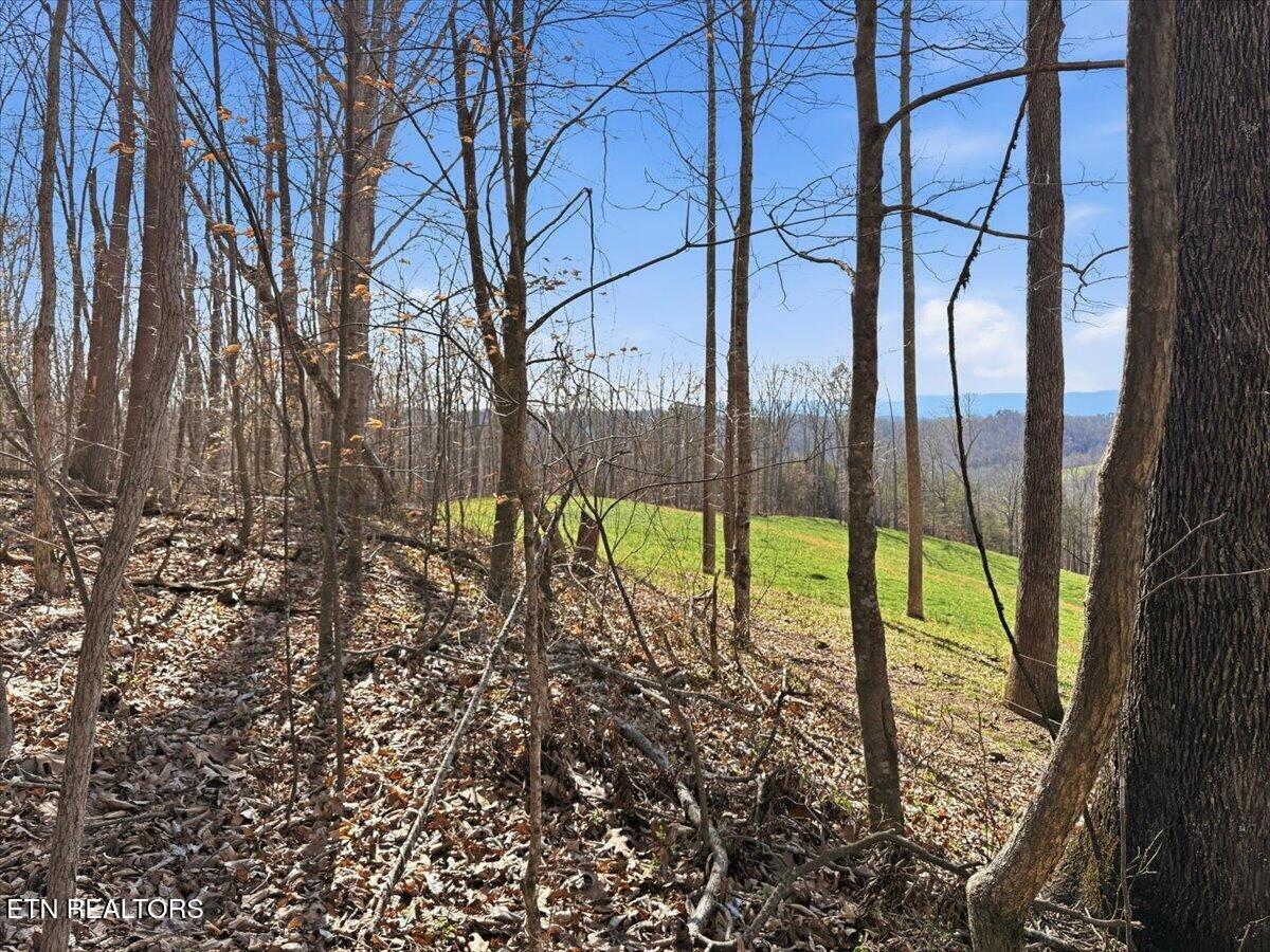 180 Hill Road Knoxville TN 37938