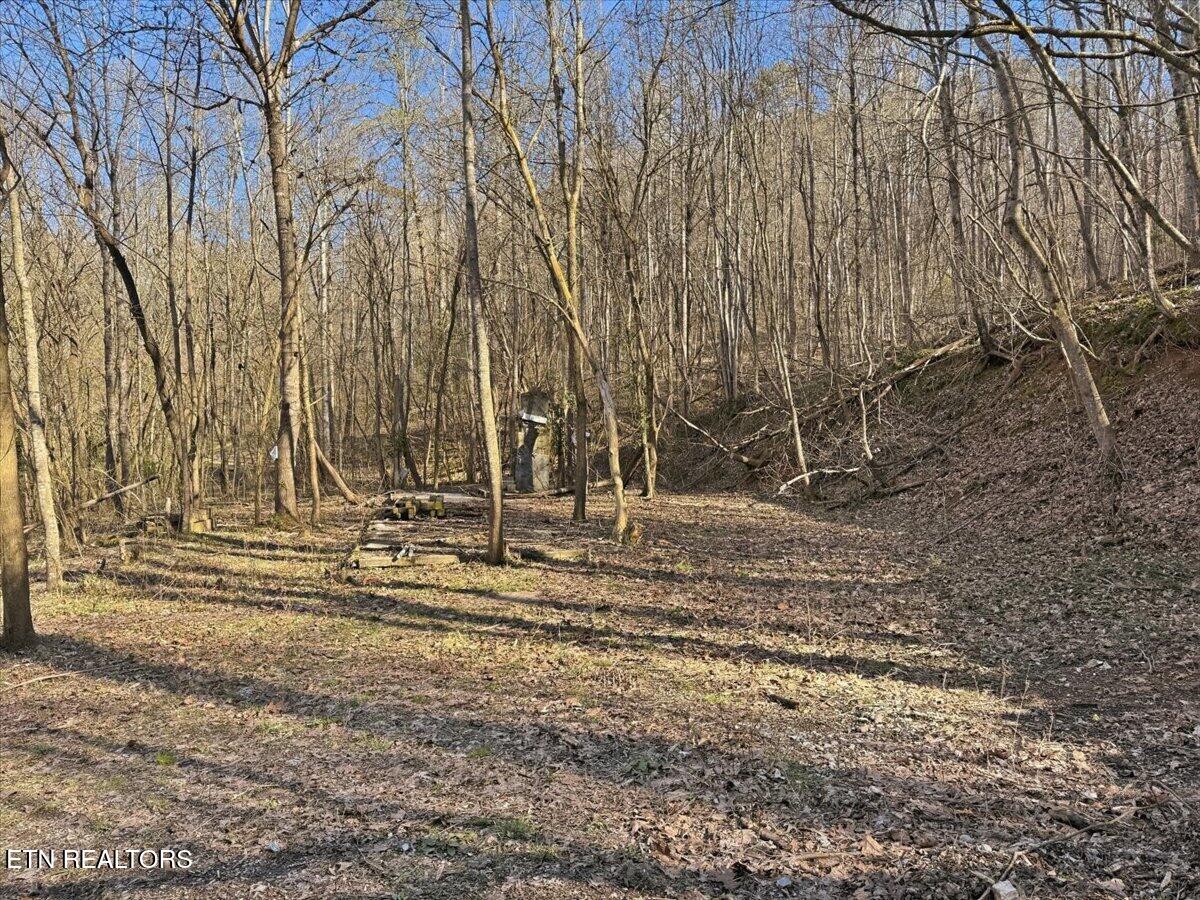 180 Hill Road Knoxville TN 37938