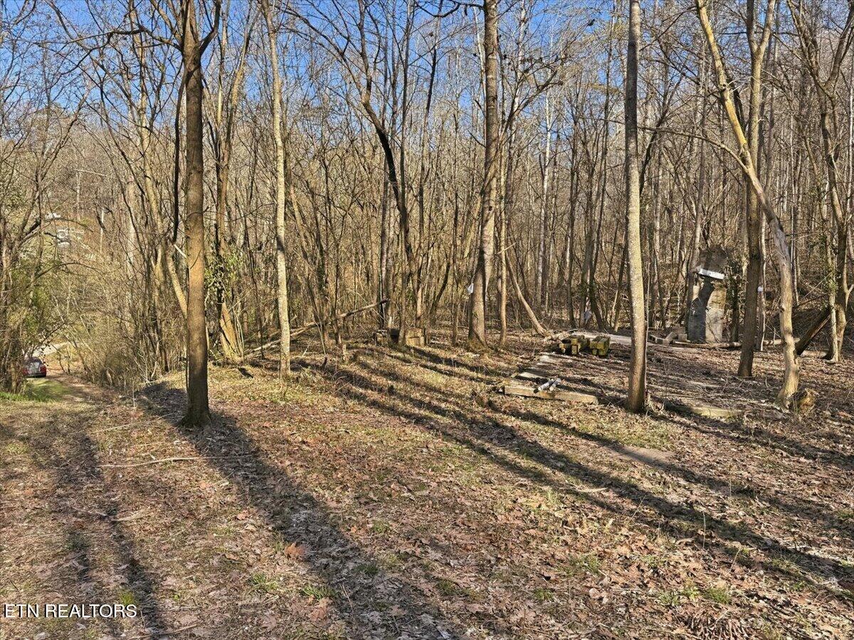 180 Hill Road Knoxville TN 37938