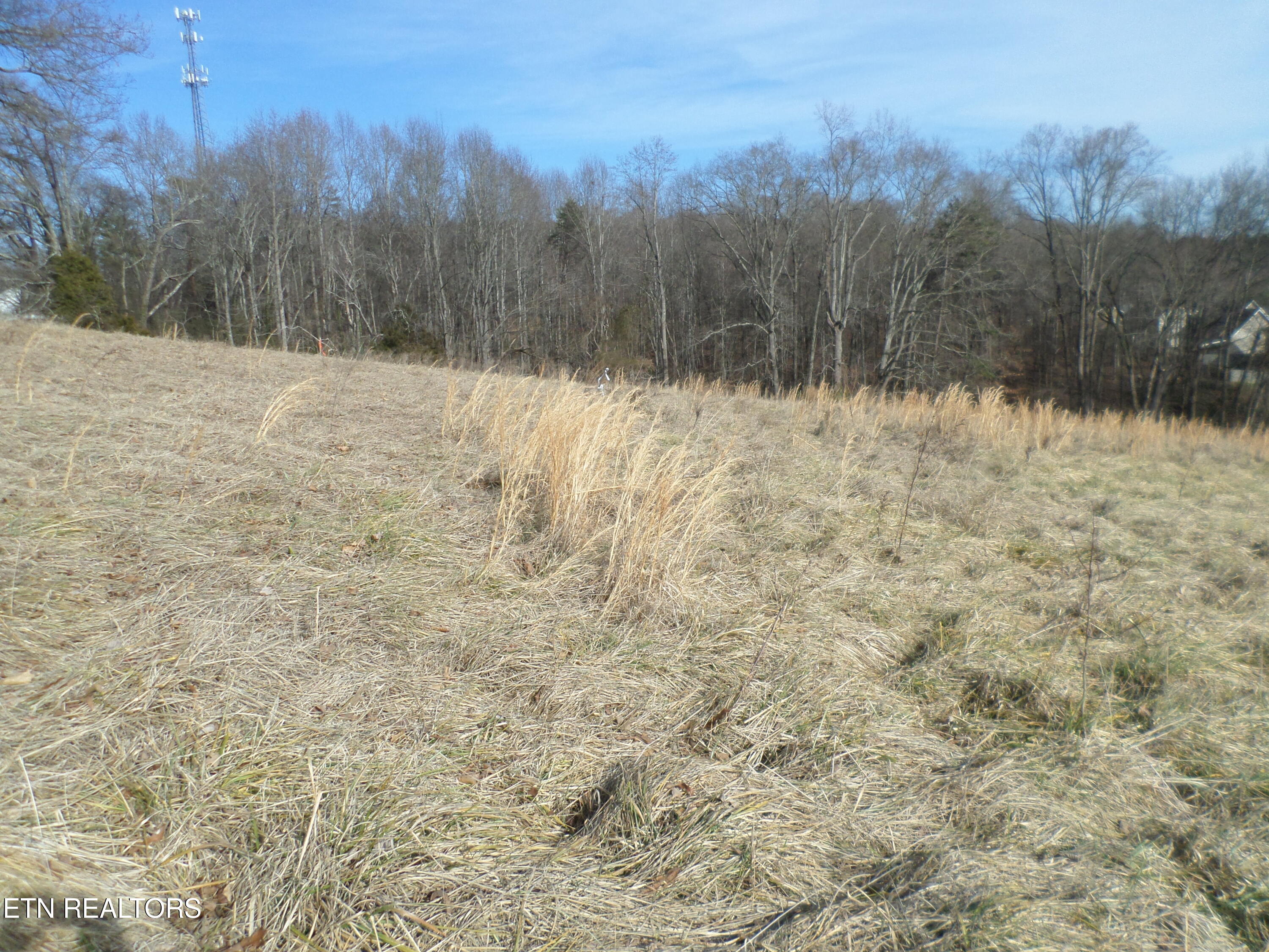 Lot 3, Dogwood Road Knoxville TN 37931