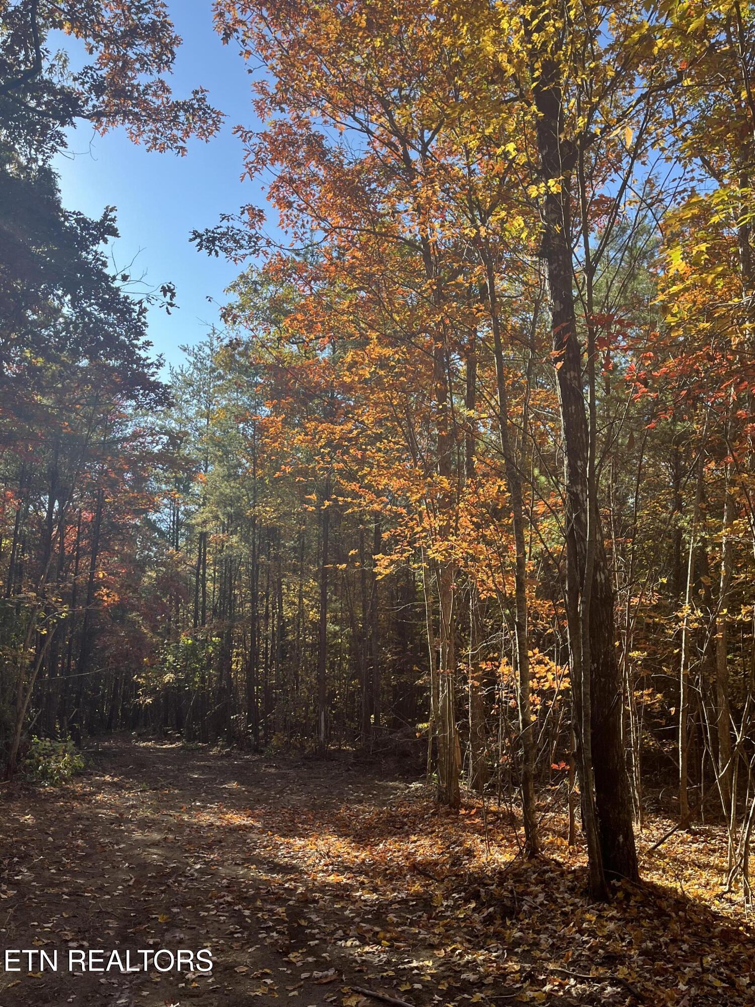 109 Cherokee Path Tellico Plains TN 37385