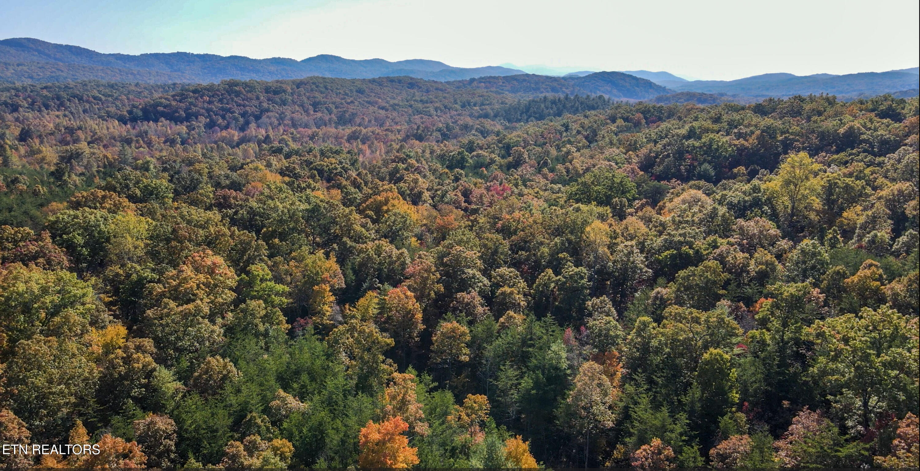 109 Cherokee Path Tellico Plains TN 37385