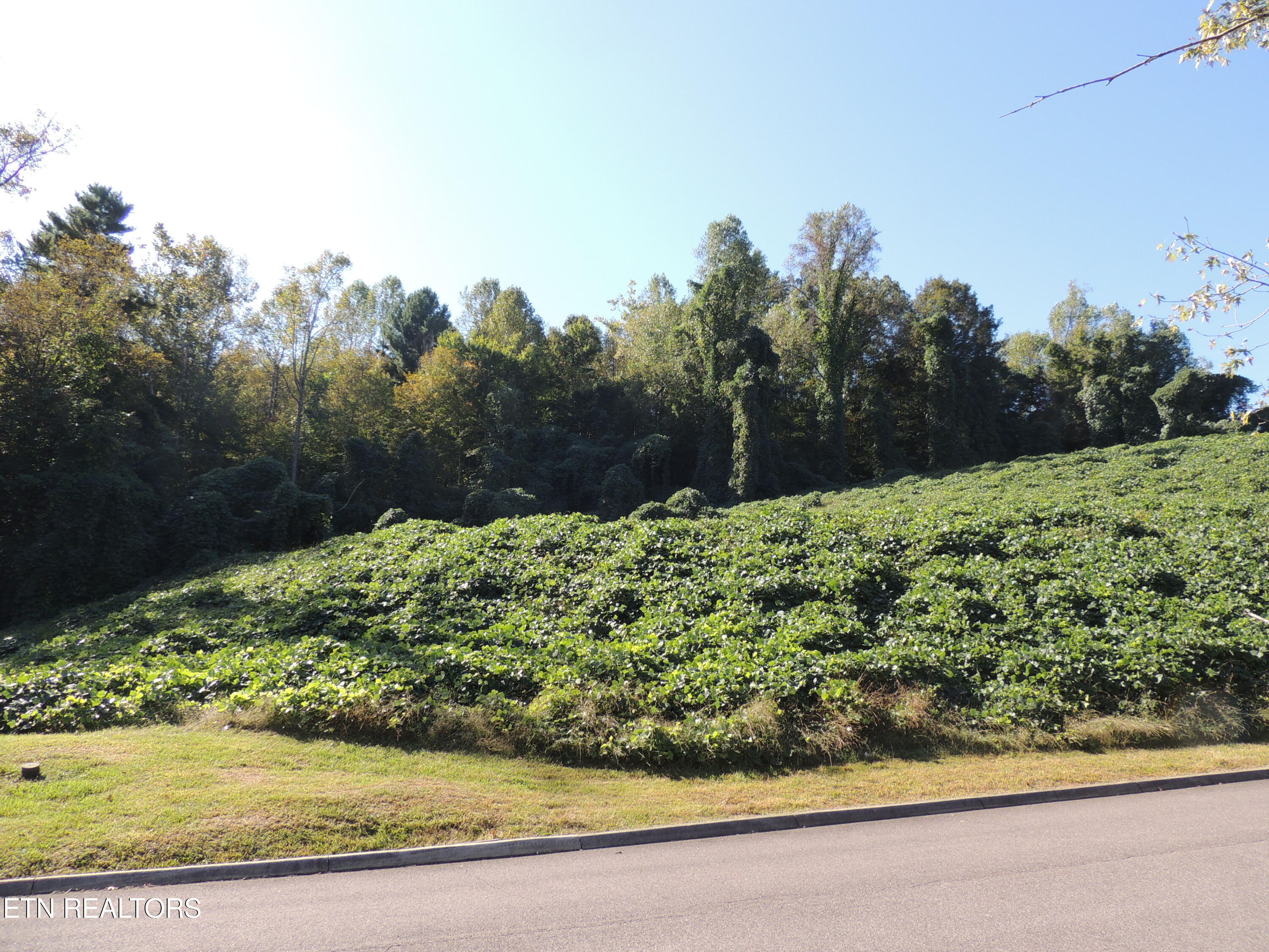 8548 Zinc Road Knoxville TN 37938