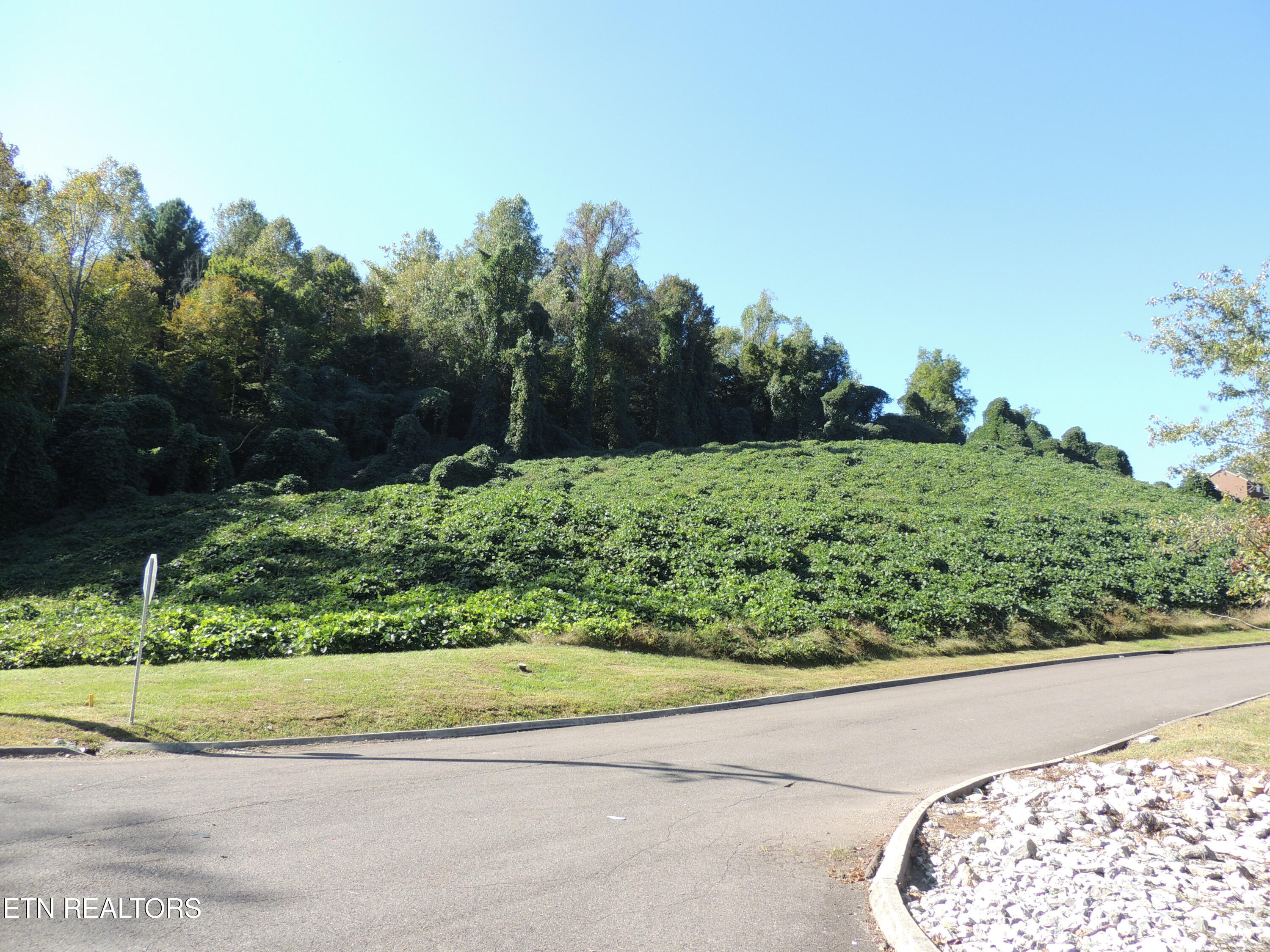 8548 Zinc Road Knoxville TN 37938