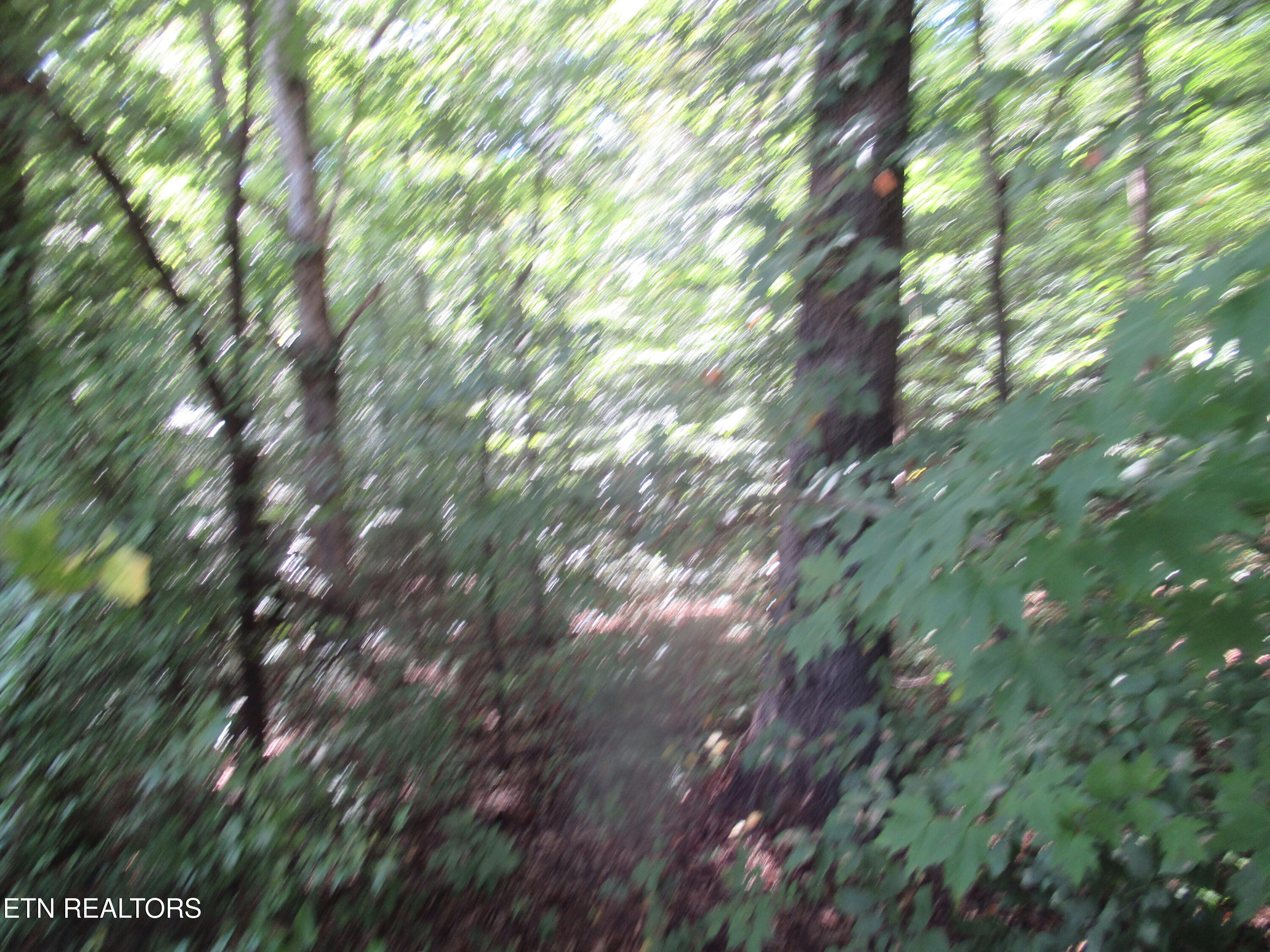 E Governor John Sevier Highway Knoxville TN 37920