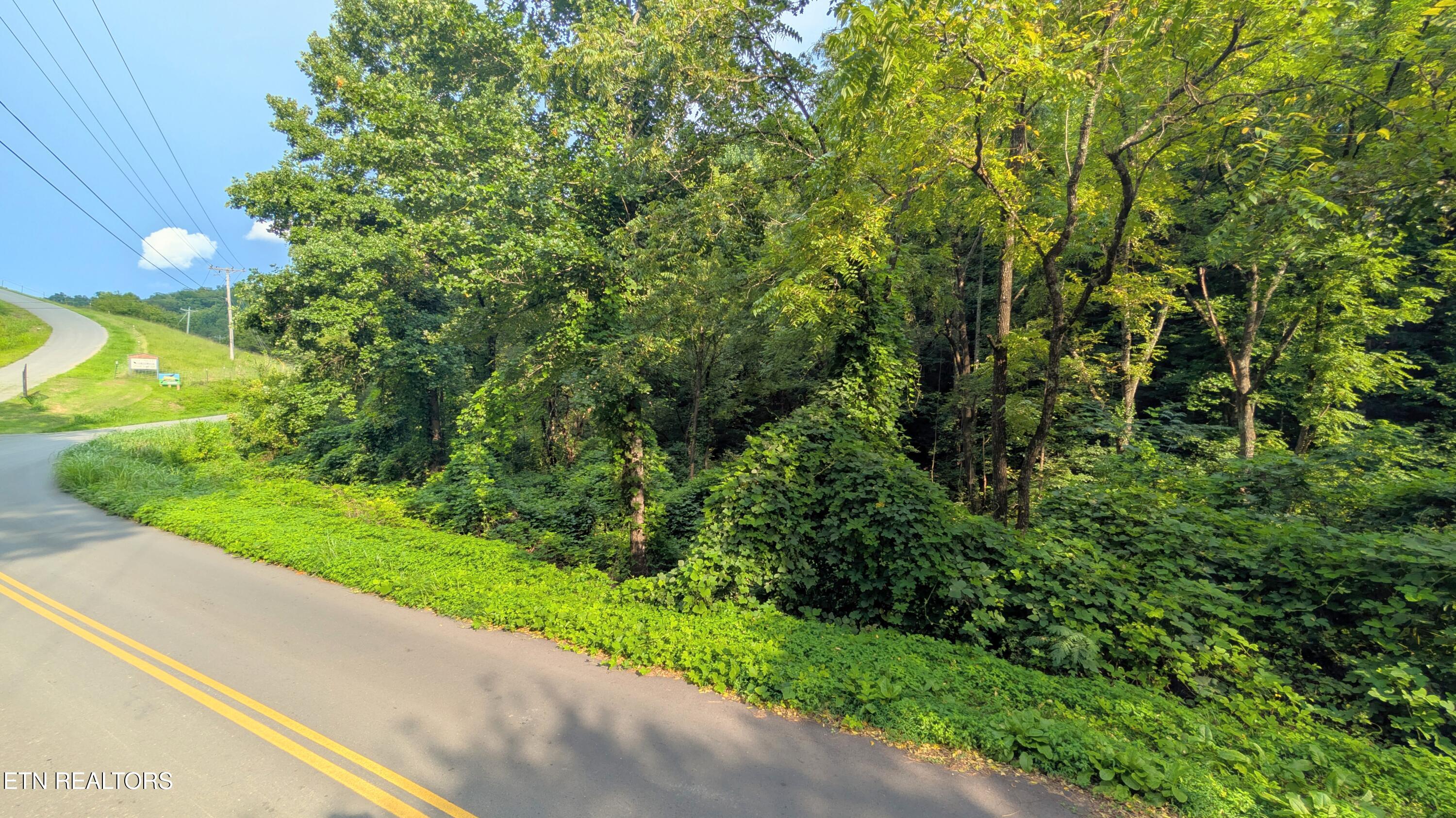 1309 Matthews Hollow Road Sevierville TN 37876