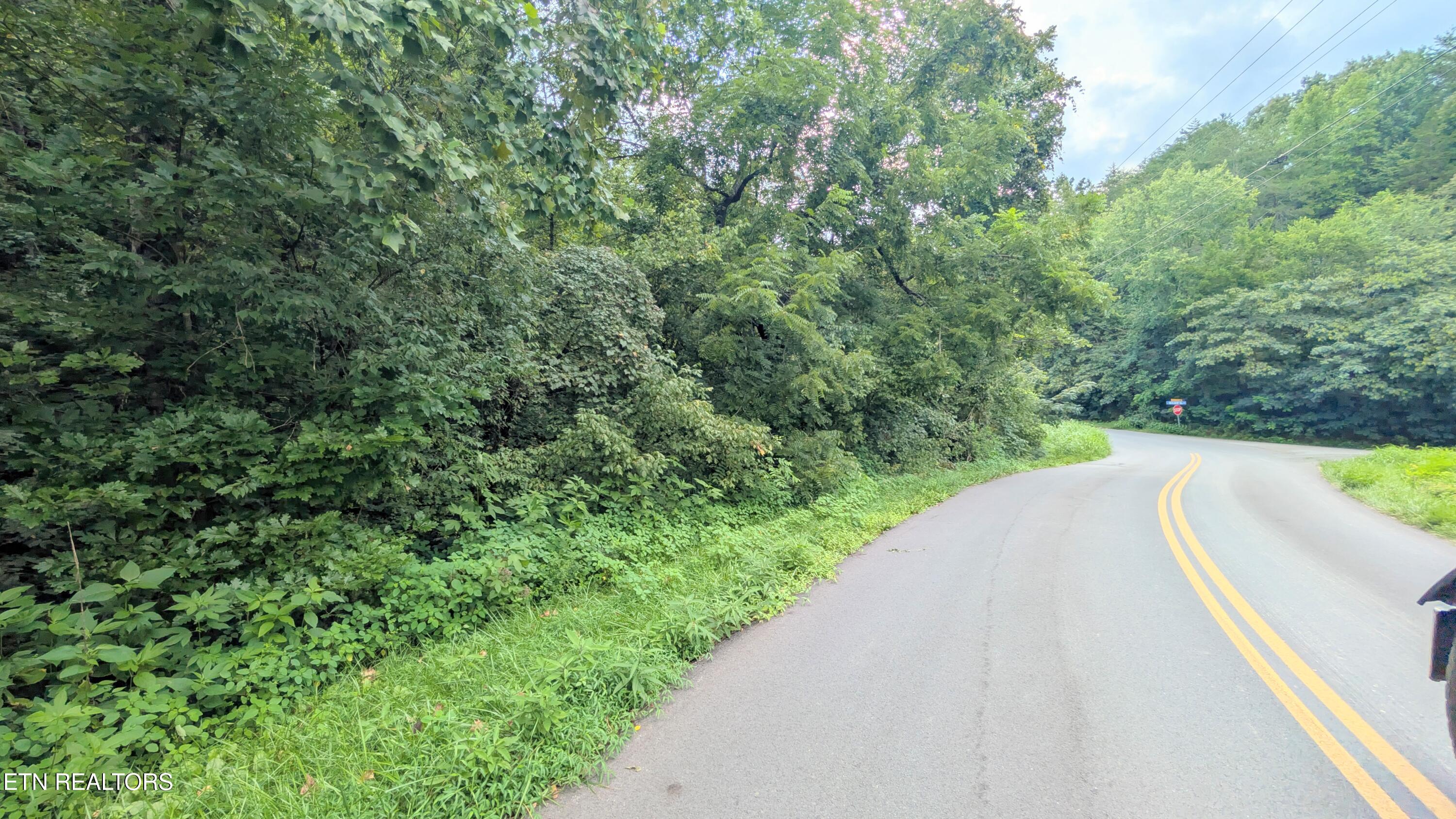 1309 Matthews Hollow Road Sevierville TN 37876