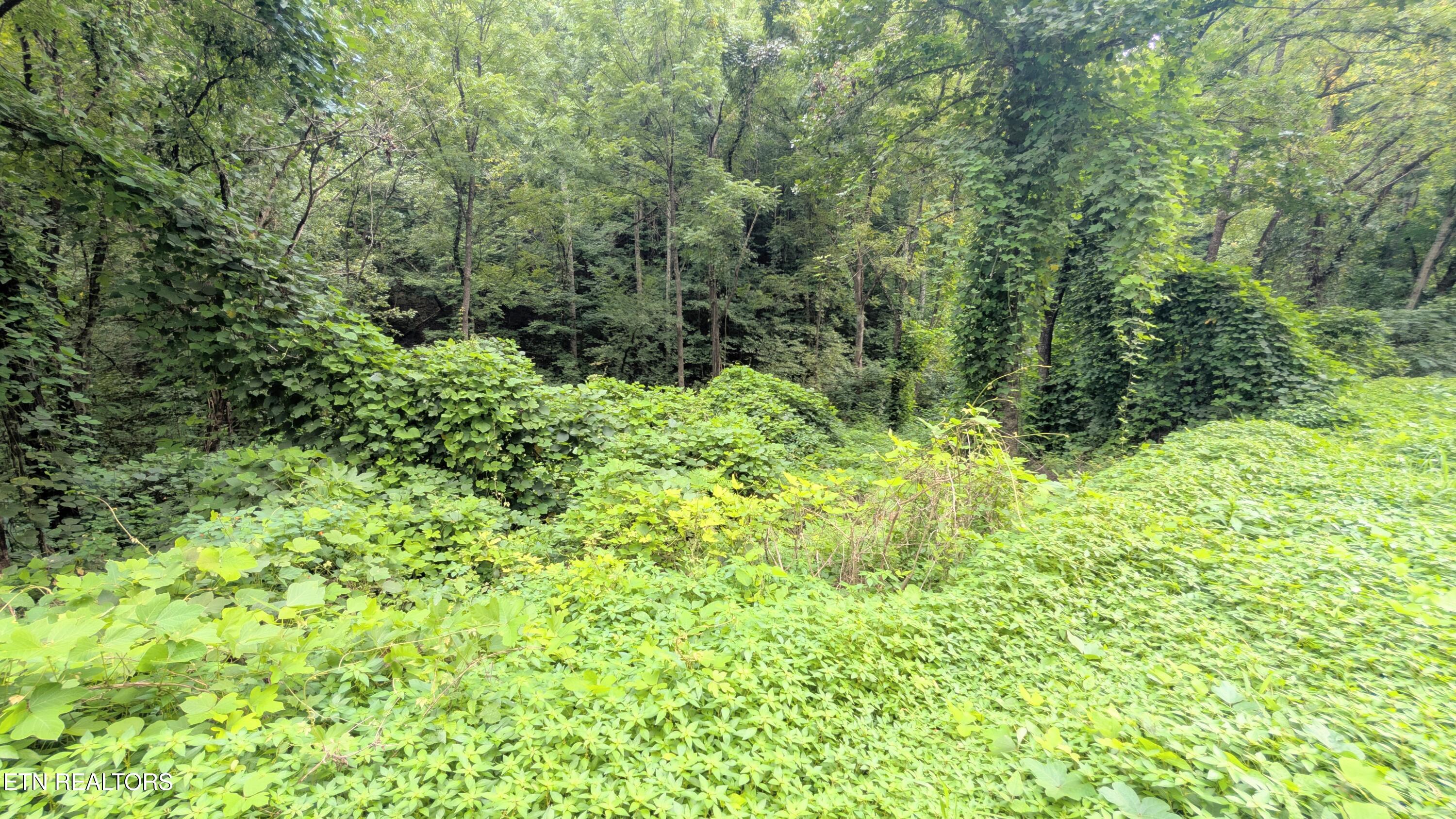 1309 Matthews Hollow Road Sevierville TN 37876