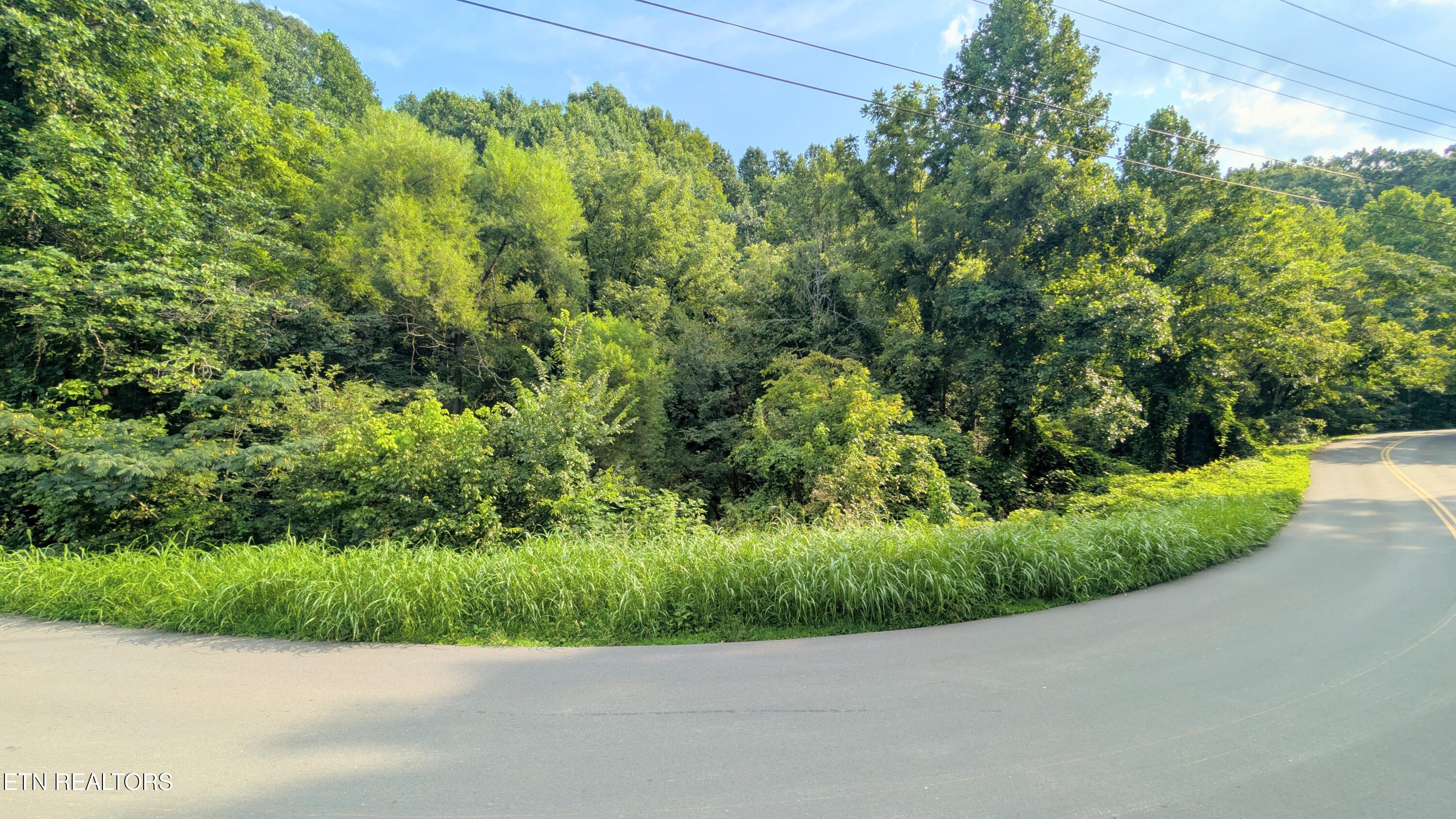 1309 Matthews Hollow Road Sevierville TN 37876