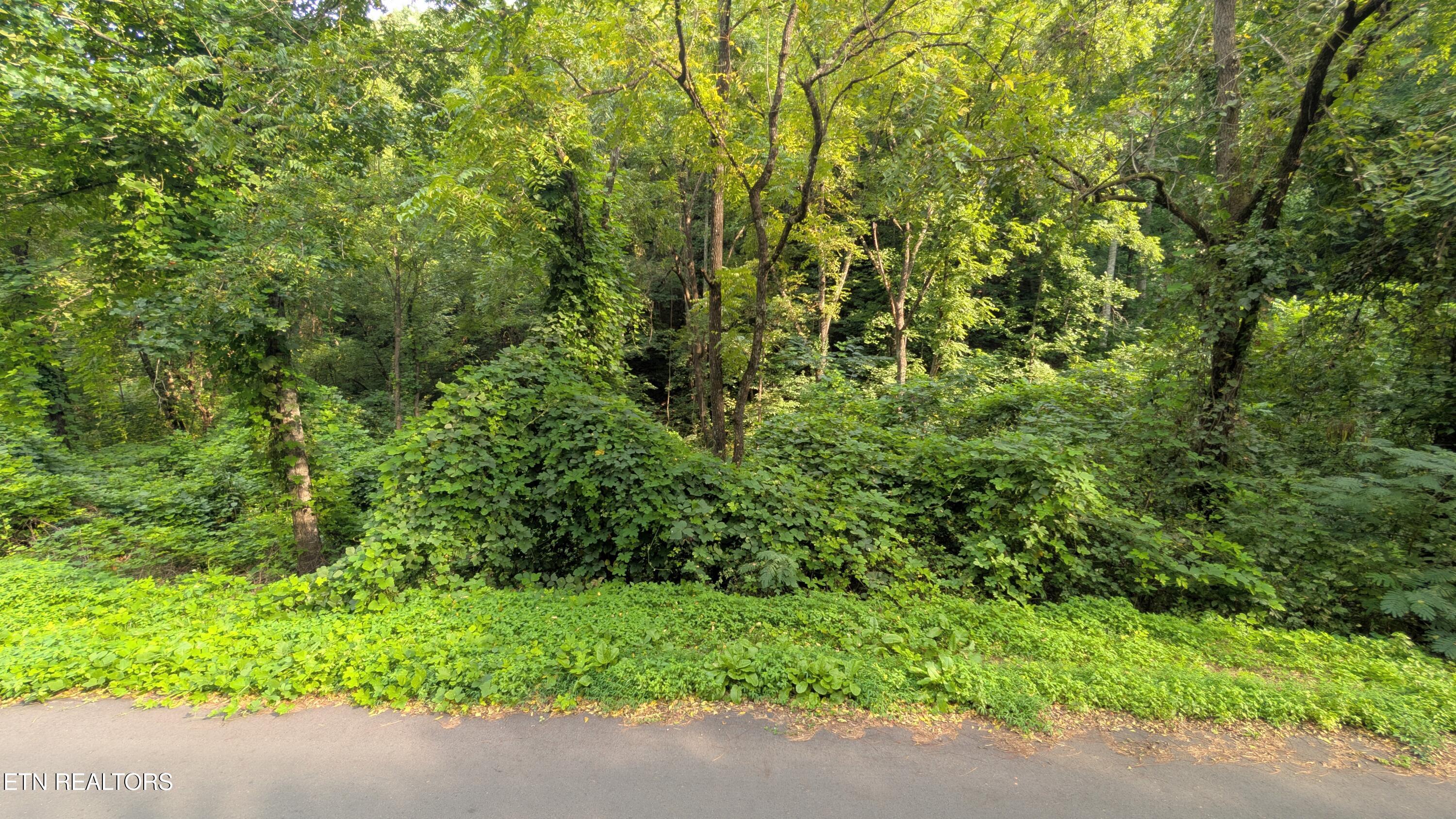 1309 Matthews Hollow Road Sevierville TN 37876