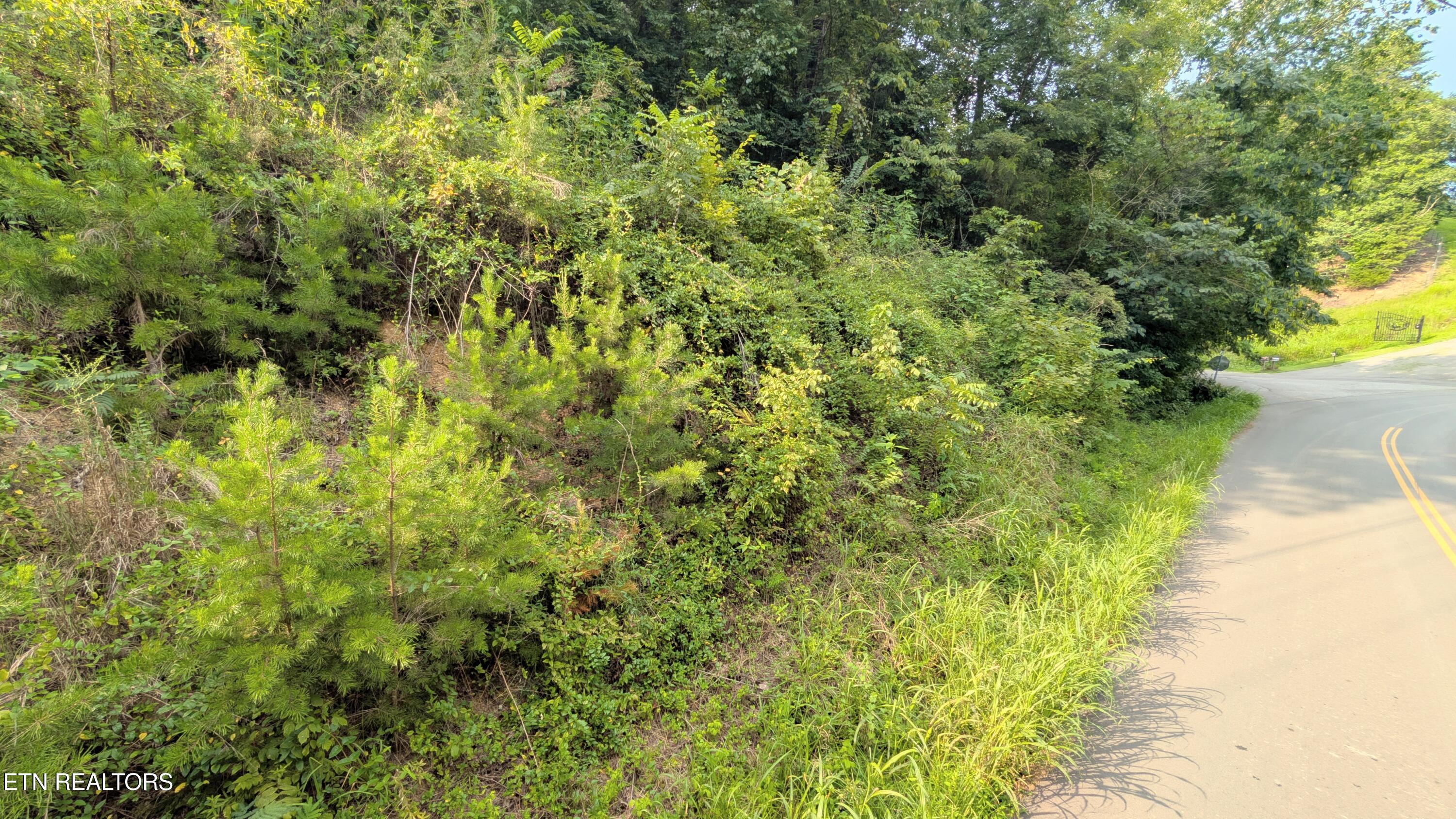 1309 Matthews Hollow Road Sevierville TN 37876