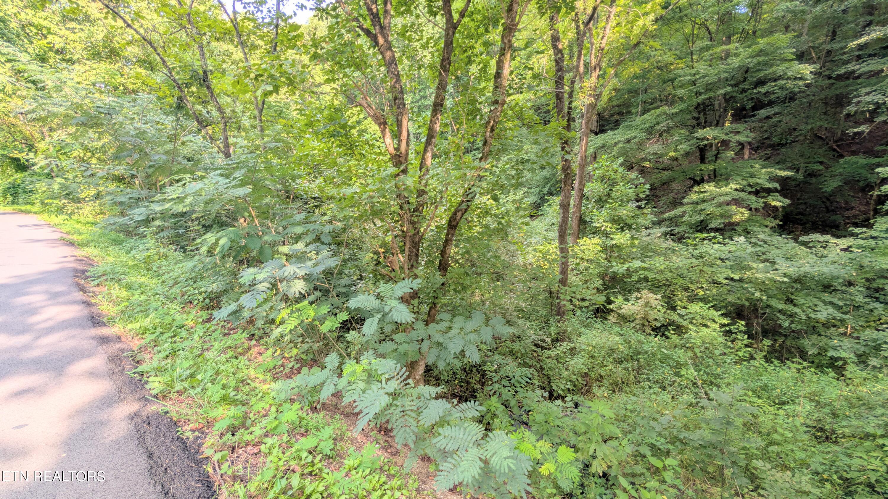 1309 Matthews Hollow Road Sevierville TN 37876