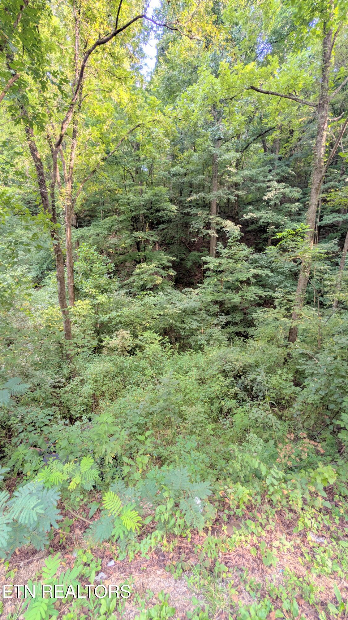 1309 Matthews Hollow Road Sevierville TN 37876