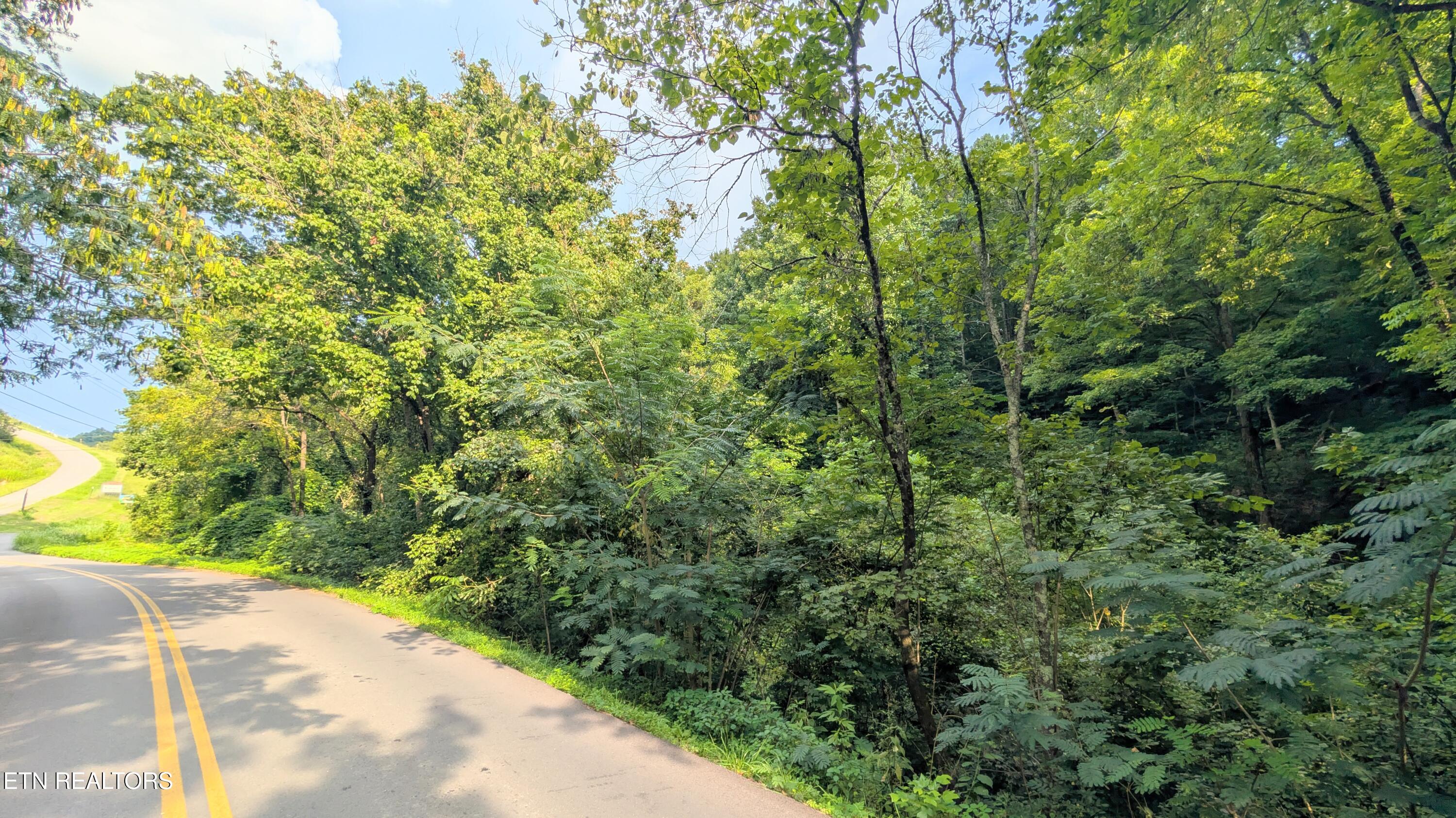 1309 Matthews Hollow Road Sevierville TN 37876