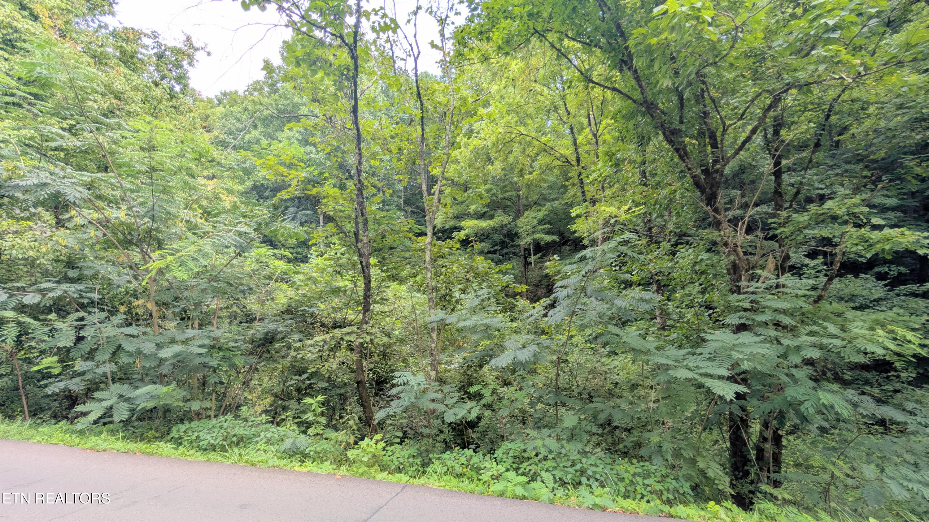 1309 Matthews Hollow Road Sevierville TN 37876