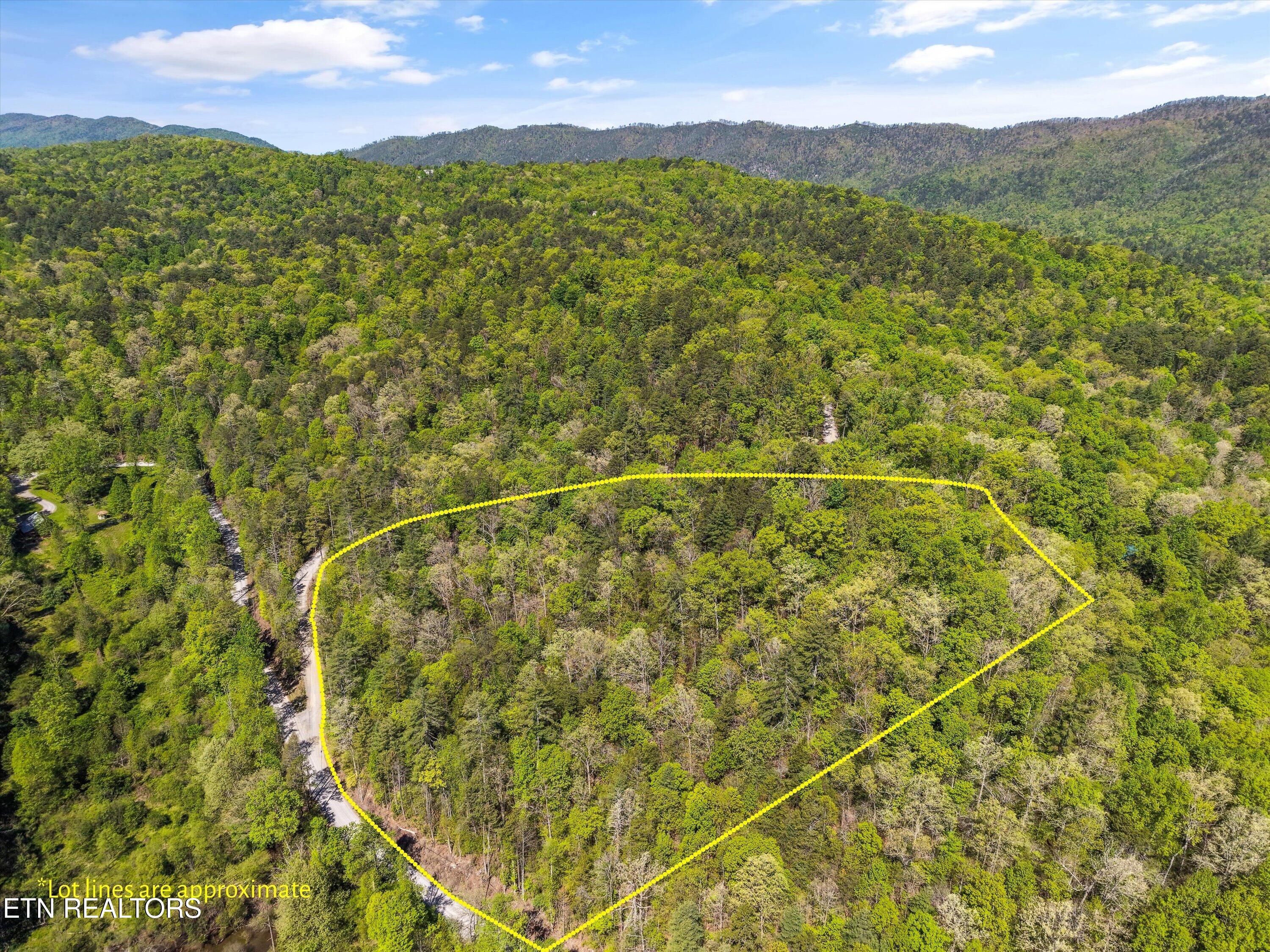 1820 Oakwood Road Walland TN 37886