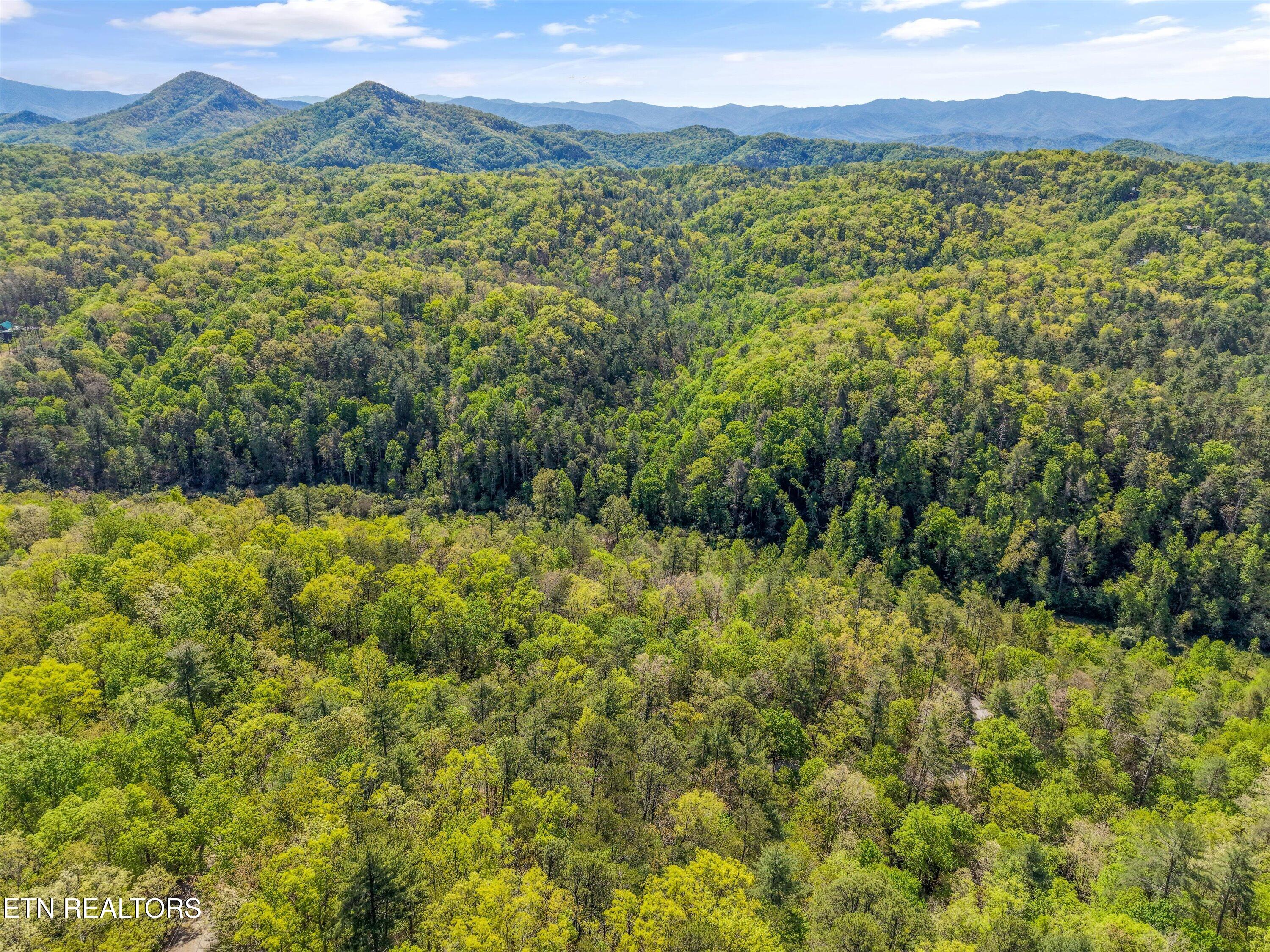1820 Oakwood Road Walland TN 37886