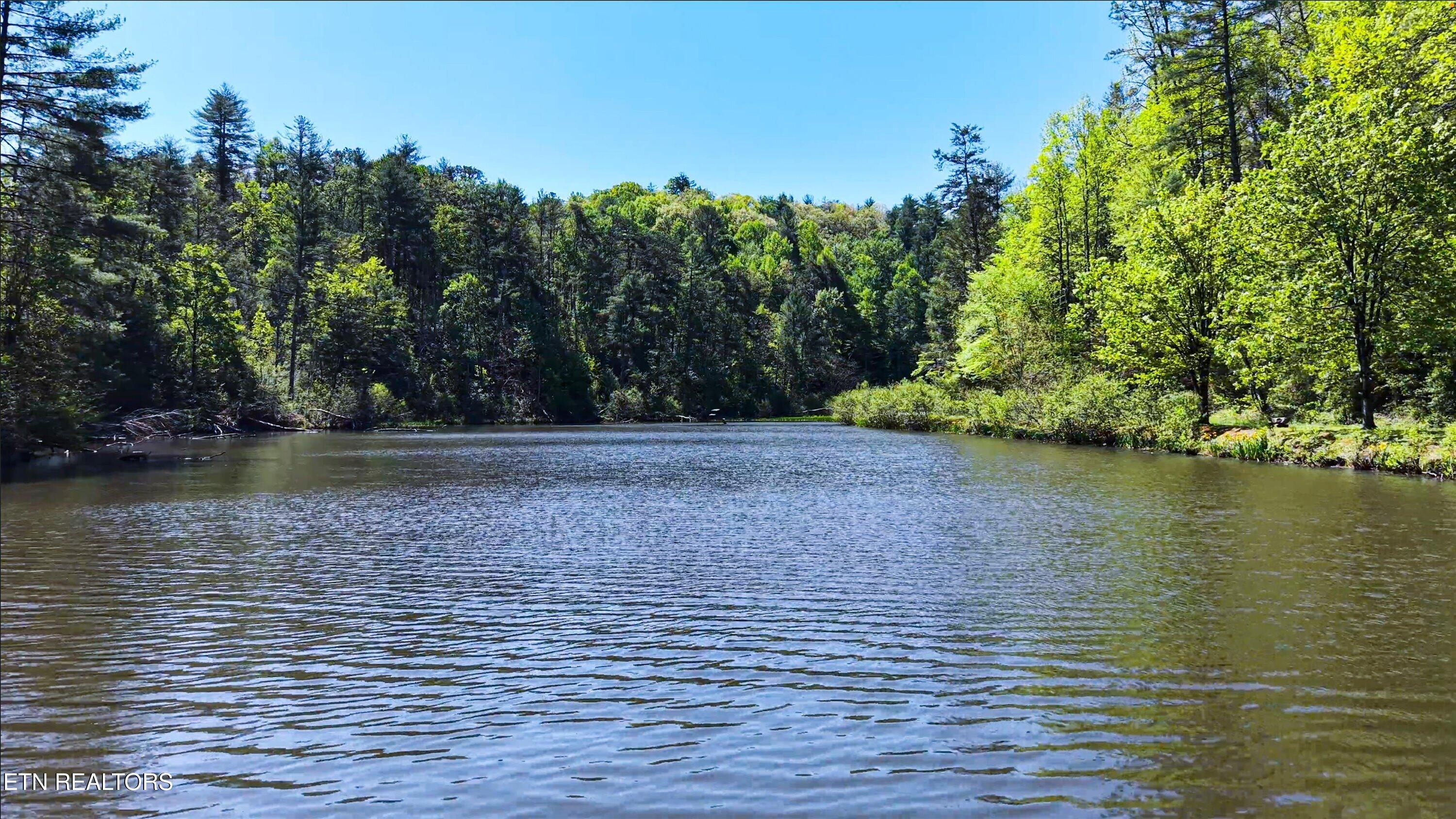 1820 Oakwood Road Walland TN 37886