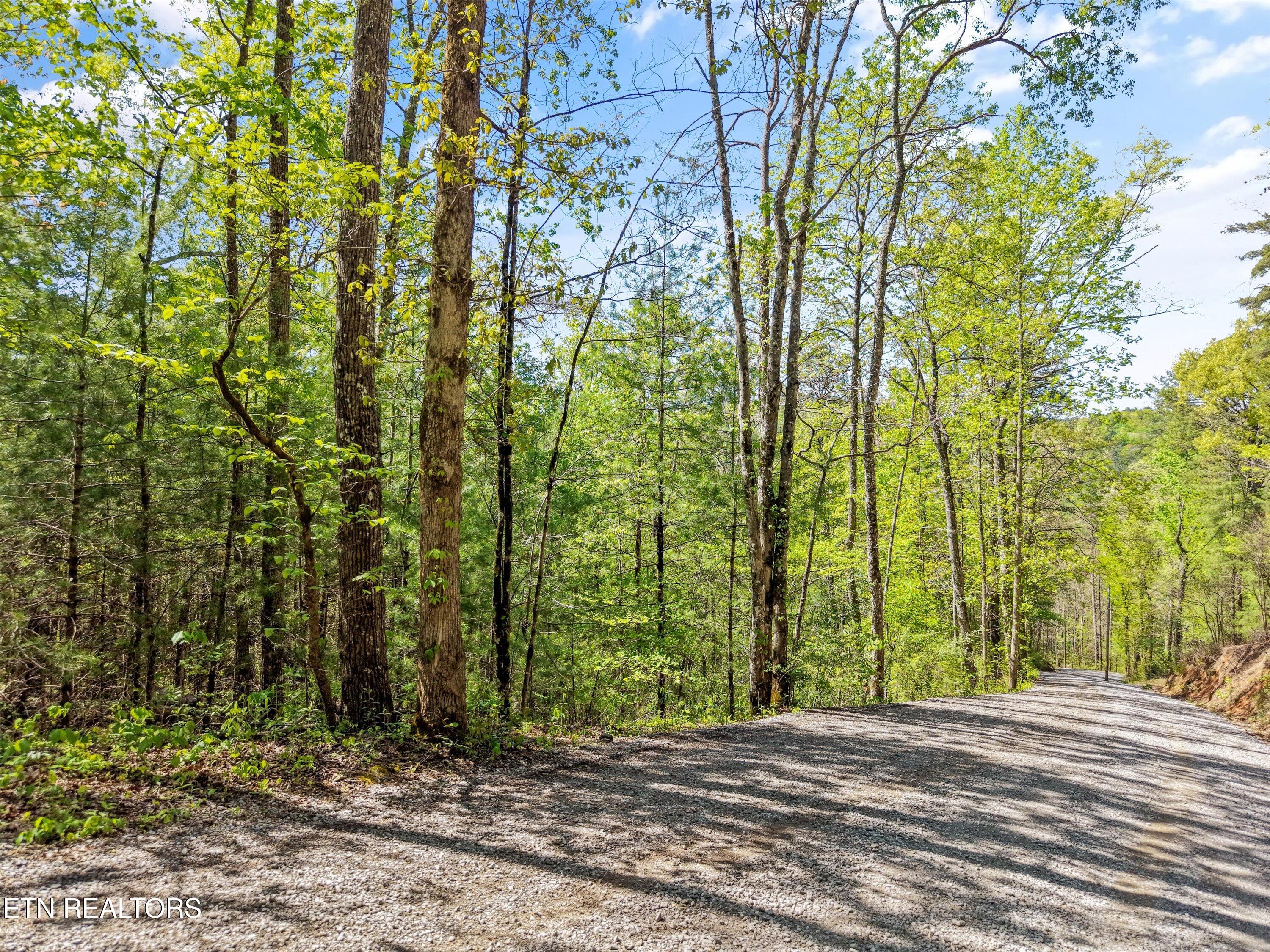 1820 Oakwood Road Walland TN 37886