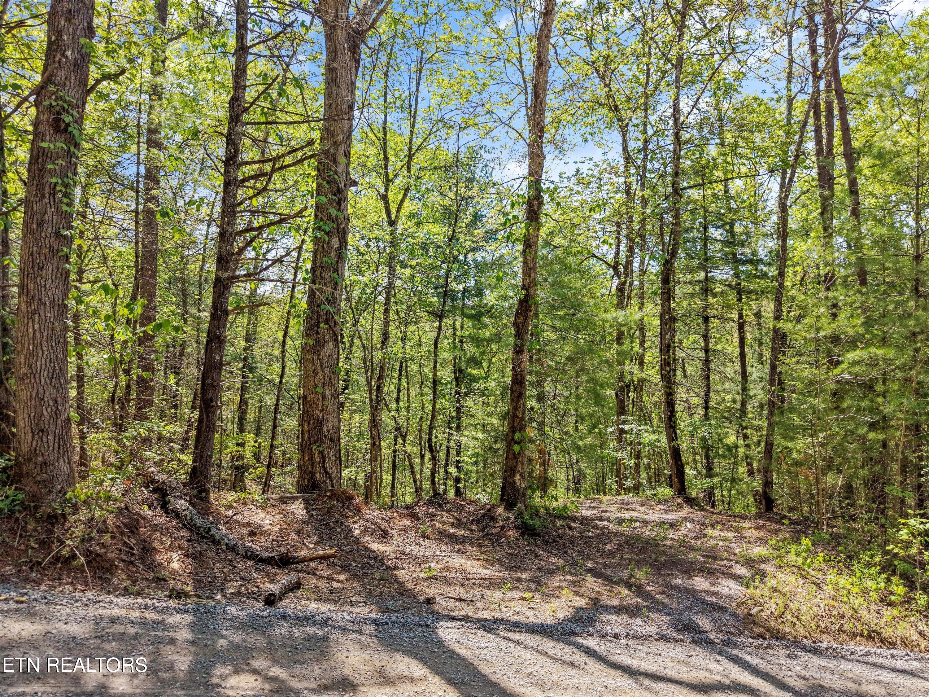1820 Oakwood Road Walland TN 37886