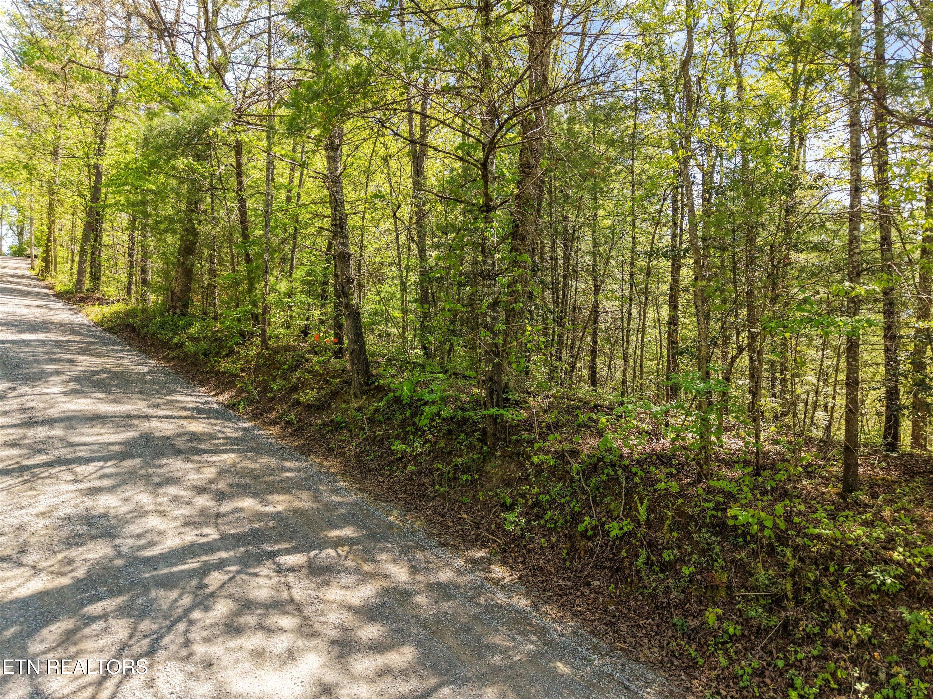 1820 Oakwood Road Walland TN 37886