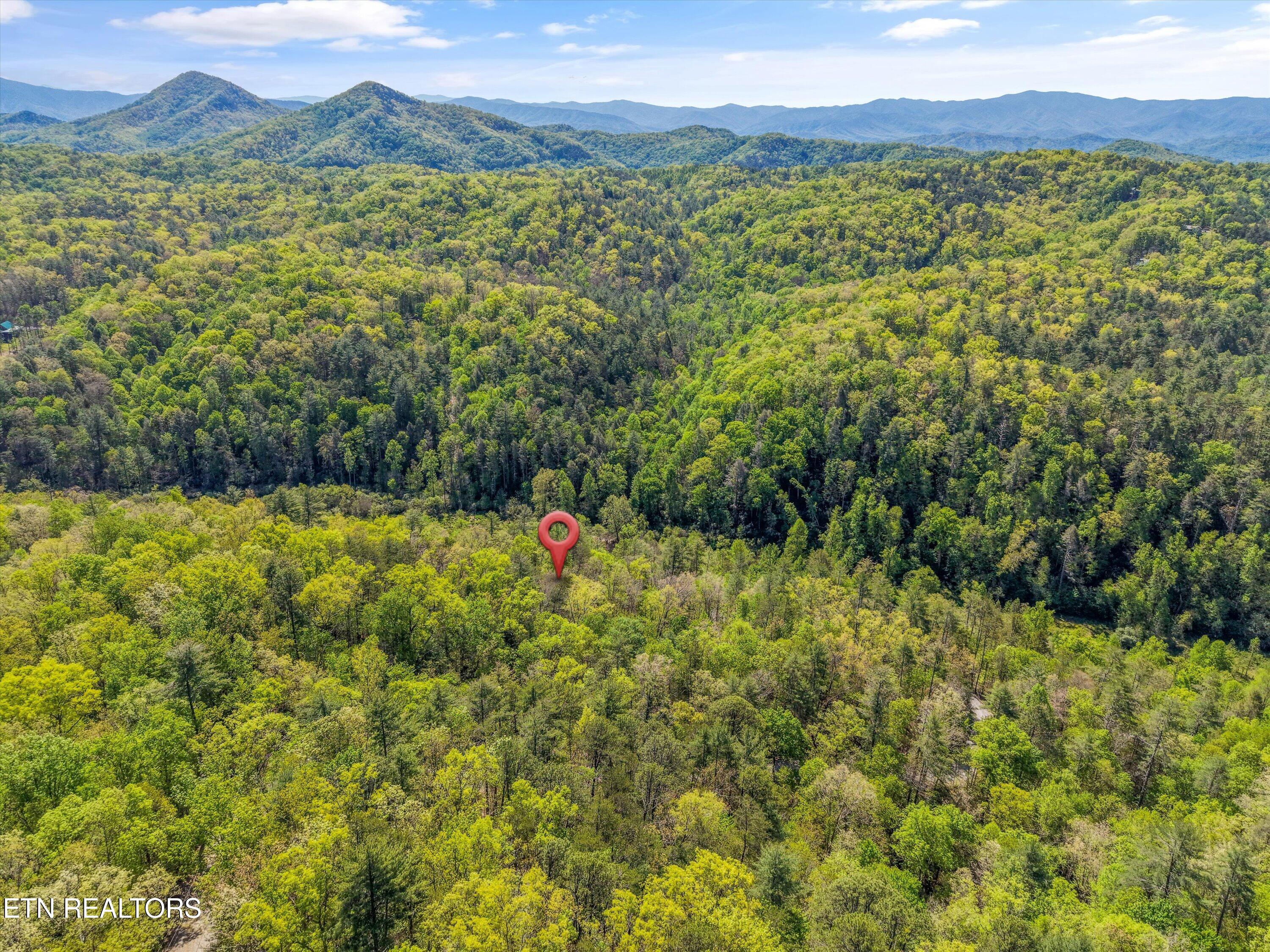 1820 Oakwood Road Walland TN 37886