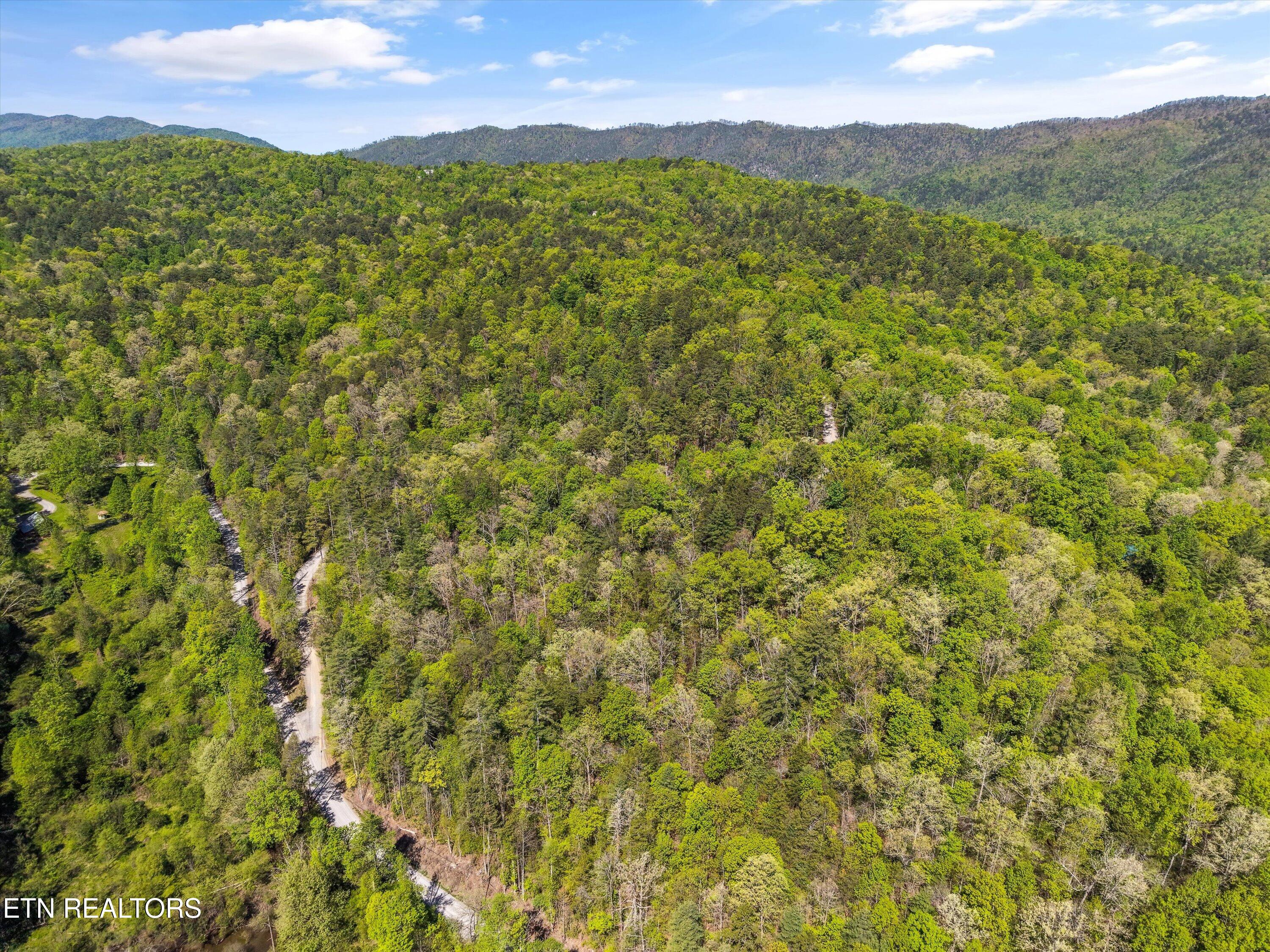 1820 Oakwood Road Walland TN 37886