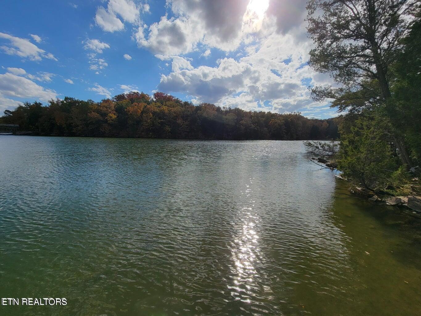 374 Walking Horse Trail Rockwood TN 37854