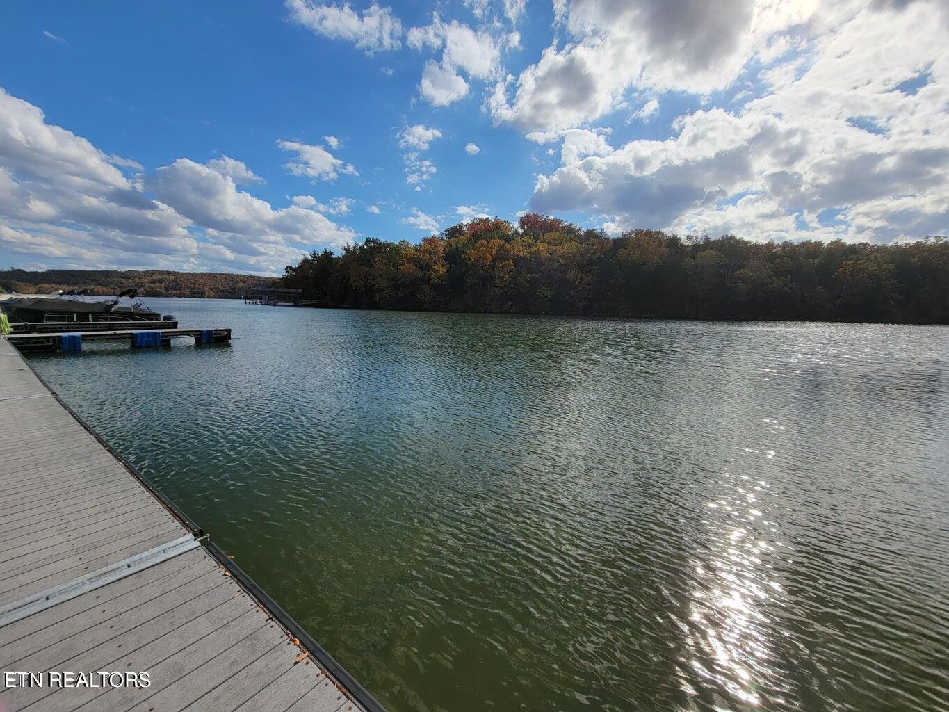 374 Walking Horse Trail Rockwood TN 37854