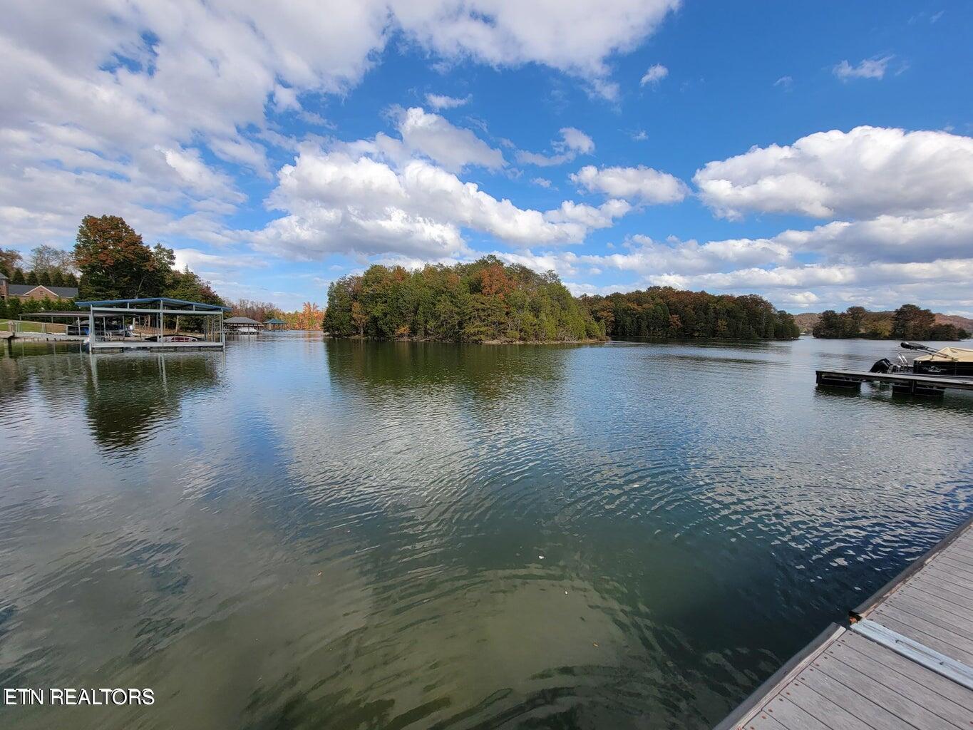 374 Walking Horse Trail Rockwood TN 37854
