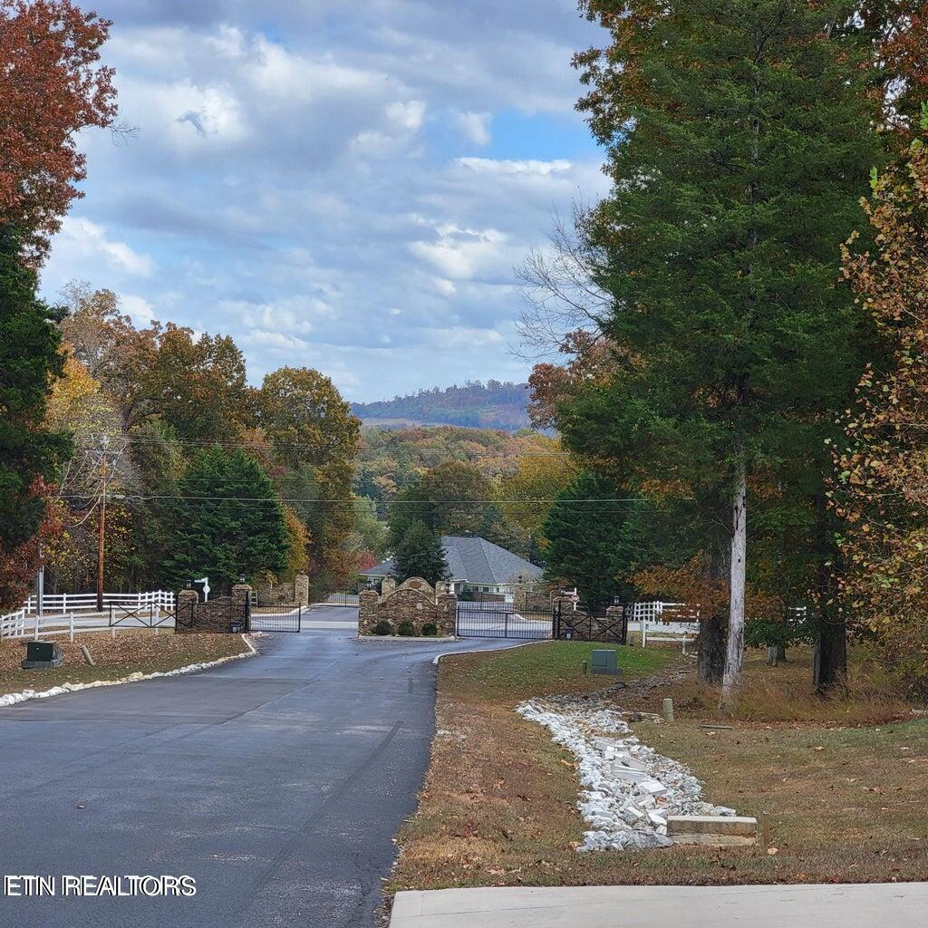 374 Walking Horse Trail Rockwood TN 37854